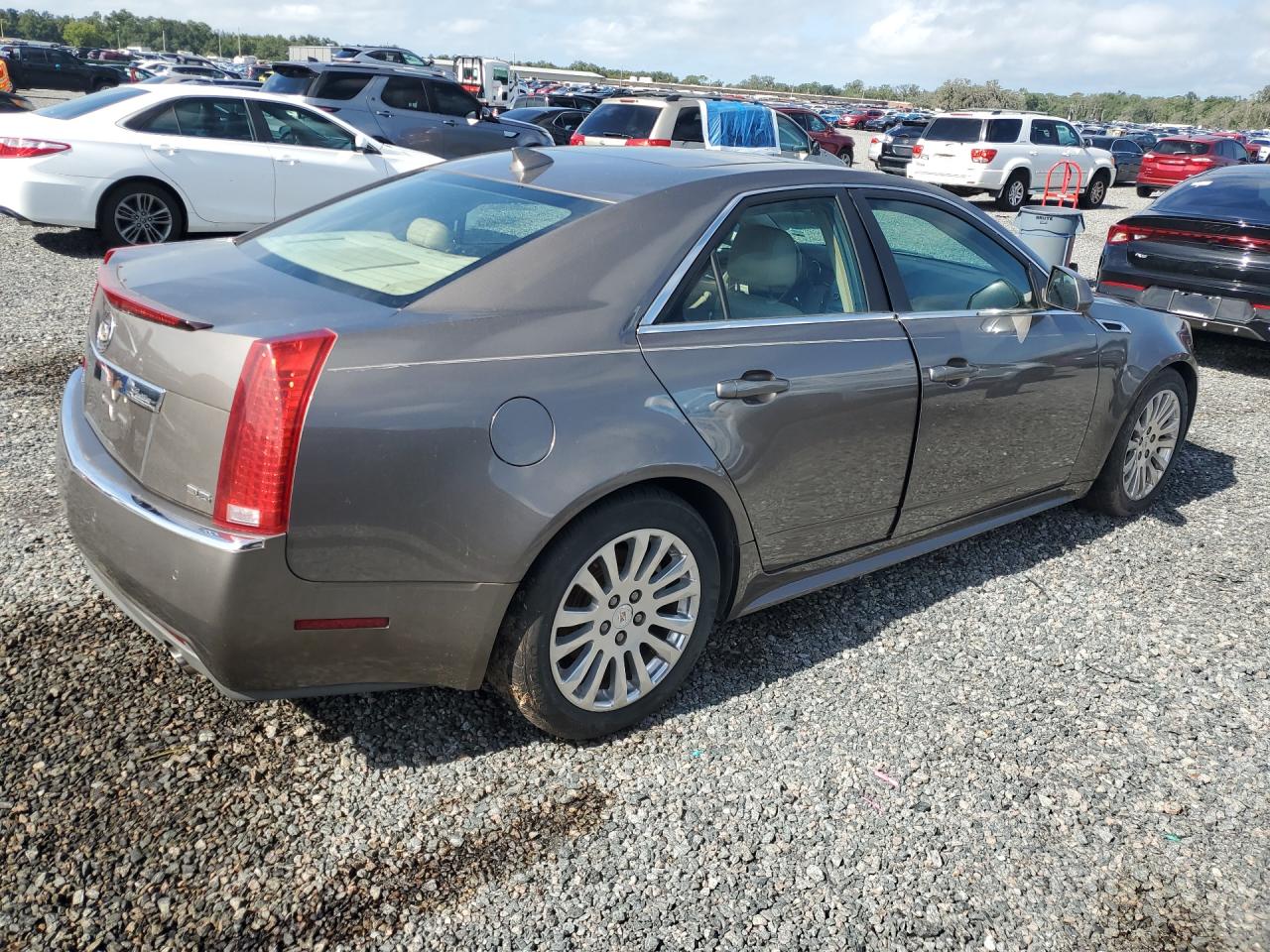 2012 Cadillac Cts Premium Collection Tan vin: 1G6DP5E37C0129809