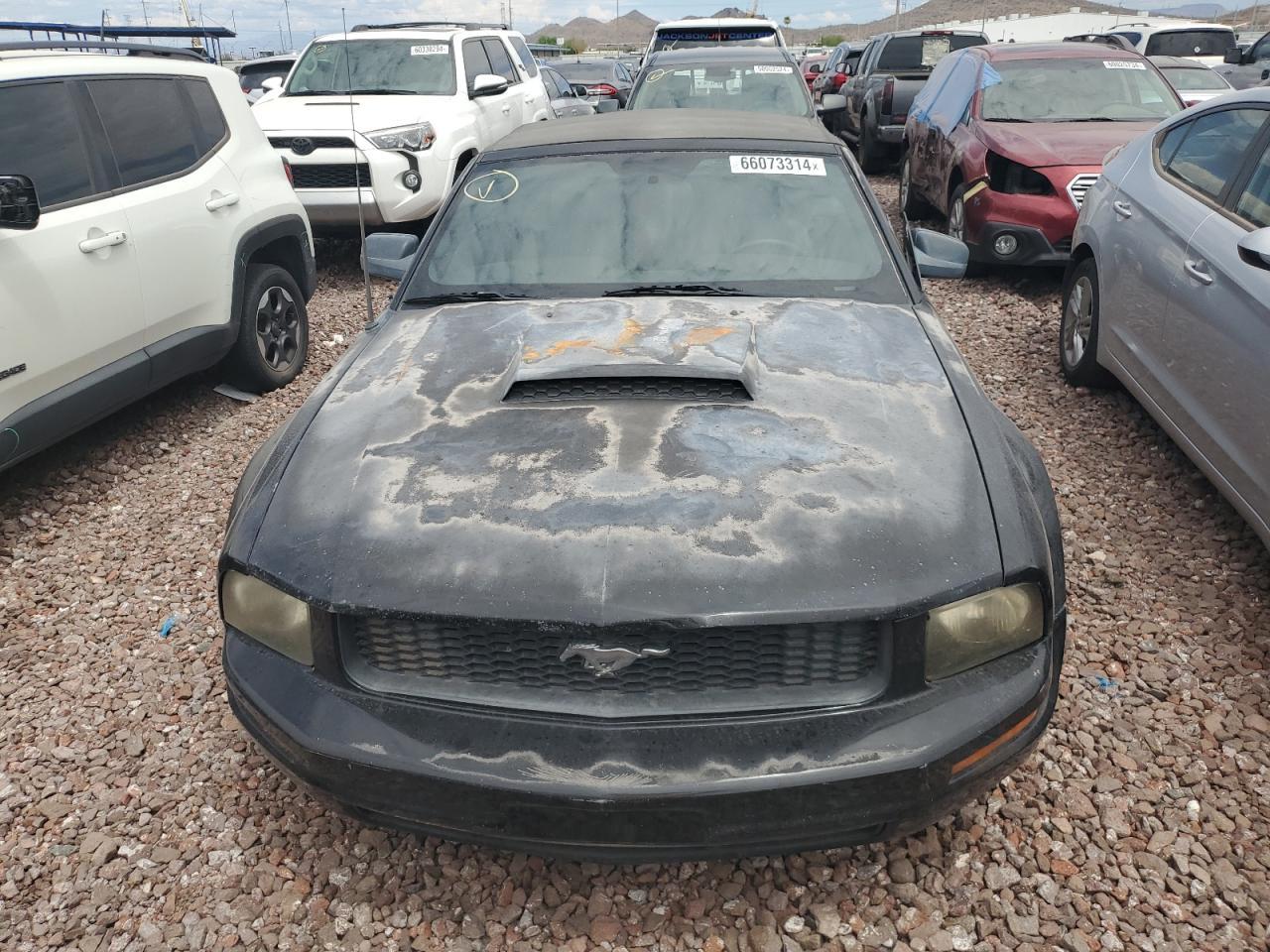 2006 Ford Mustang Black vin: 1ZVFT84N065125479