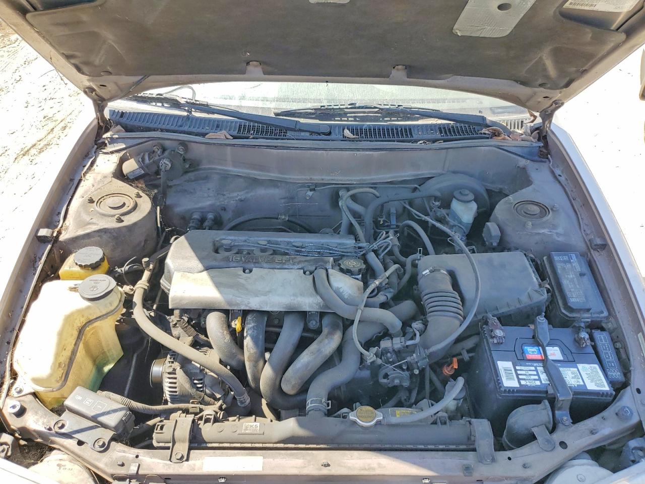 1998 Toyota Corolla Ve Tan vin: 1NXBR12EXWZ117823