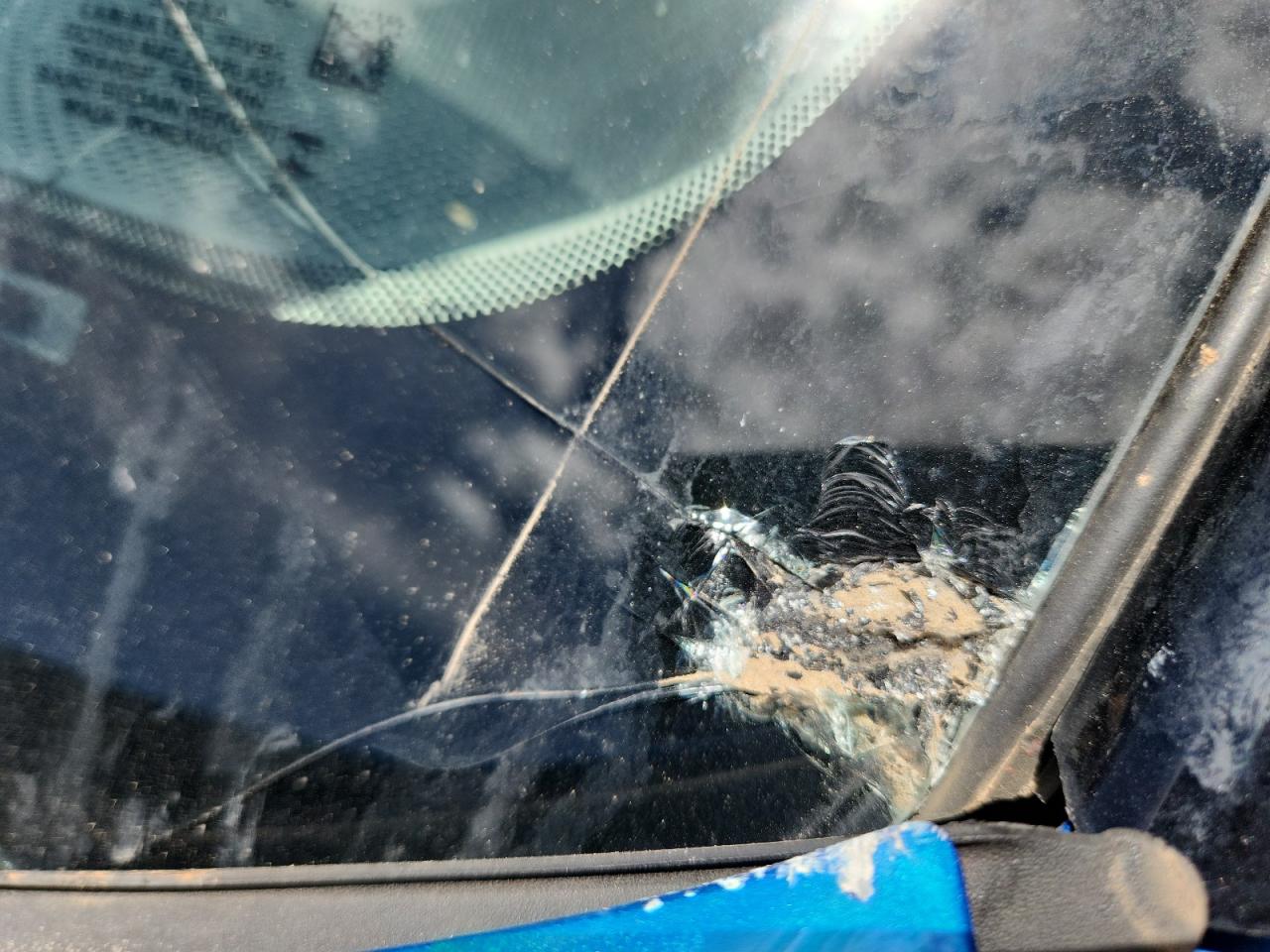 2025 Ford Bronco Sport Big Bend Blue vin: 3FMCR9BNXSRE09685 Damage: Windshield, Broken, Replacement Required