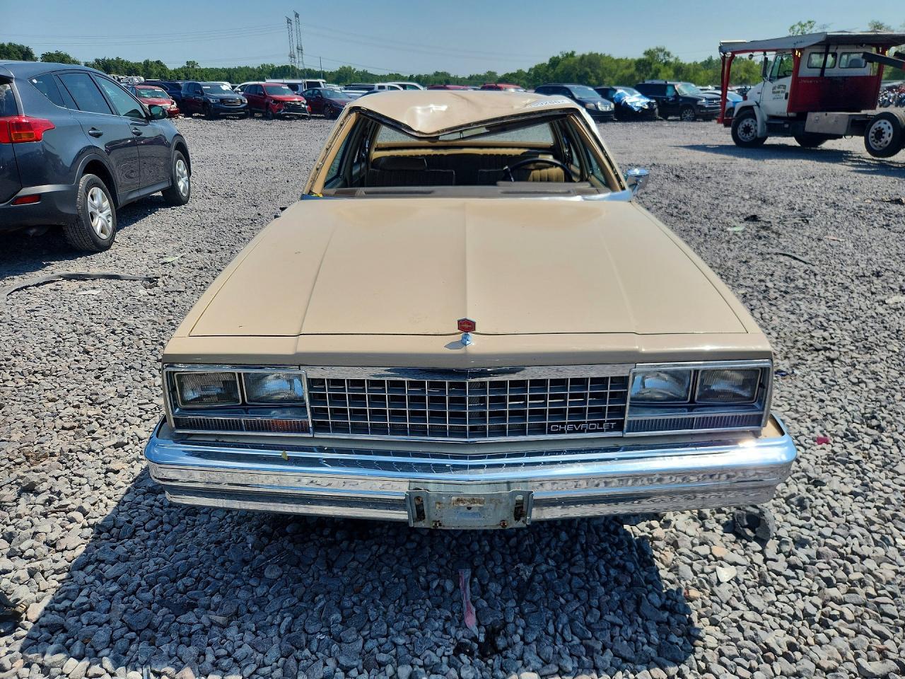1982 Chevrolet Malibu Classic Бежевый vin: 1G1AW69K8CB175379