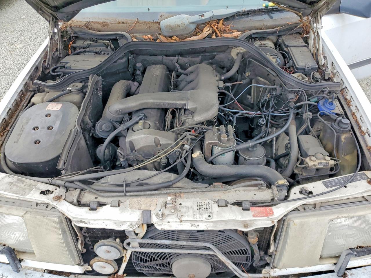 1987 Mercedes-benz 300 Tdt White vin: WDBEB93D0HF040489