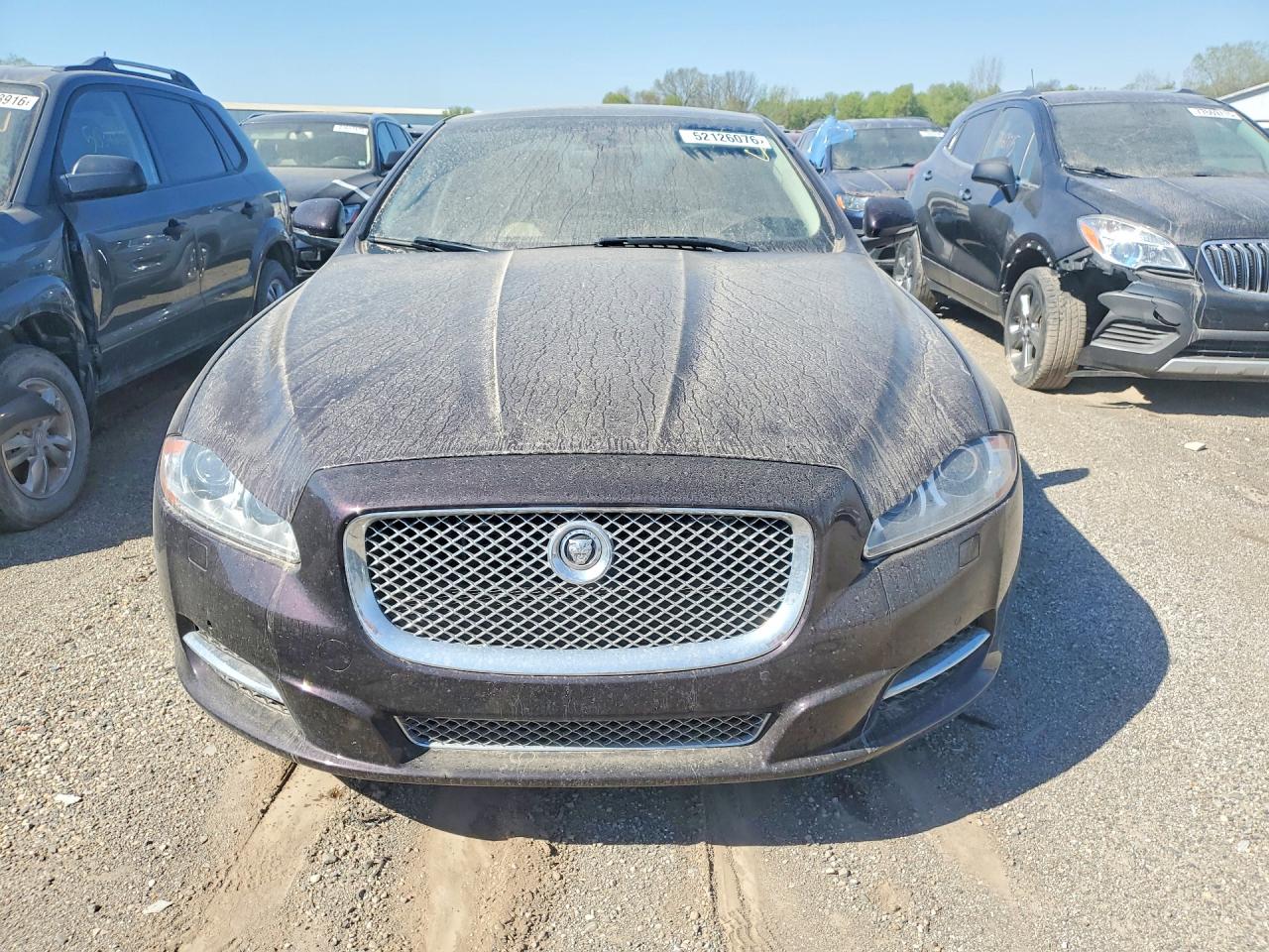 2013 Jaguar Xj Бордовый vin: SAJWA1C78D8V41800