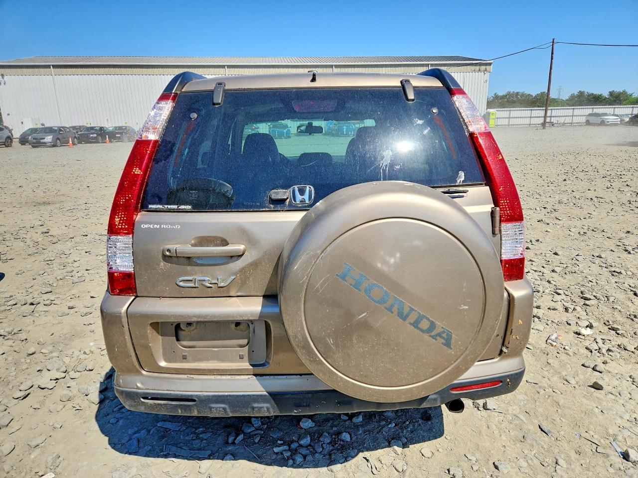 2006 Honda Cr-v Se Beige vin: JHLRD78966C034106