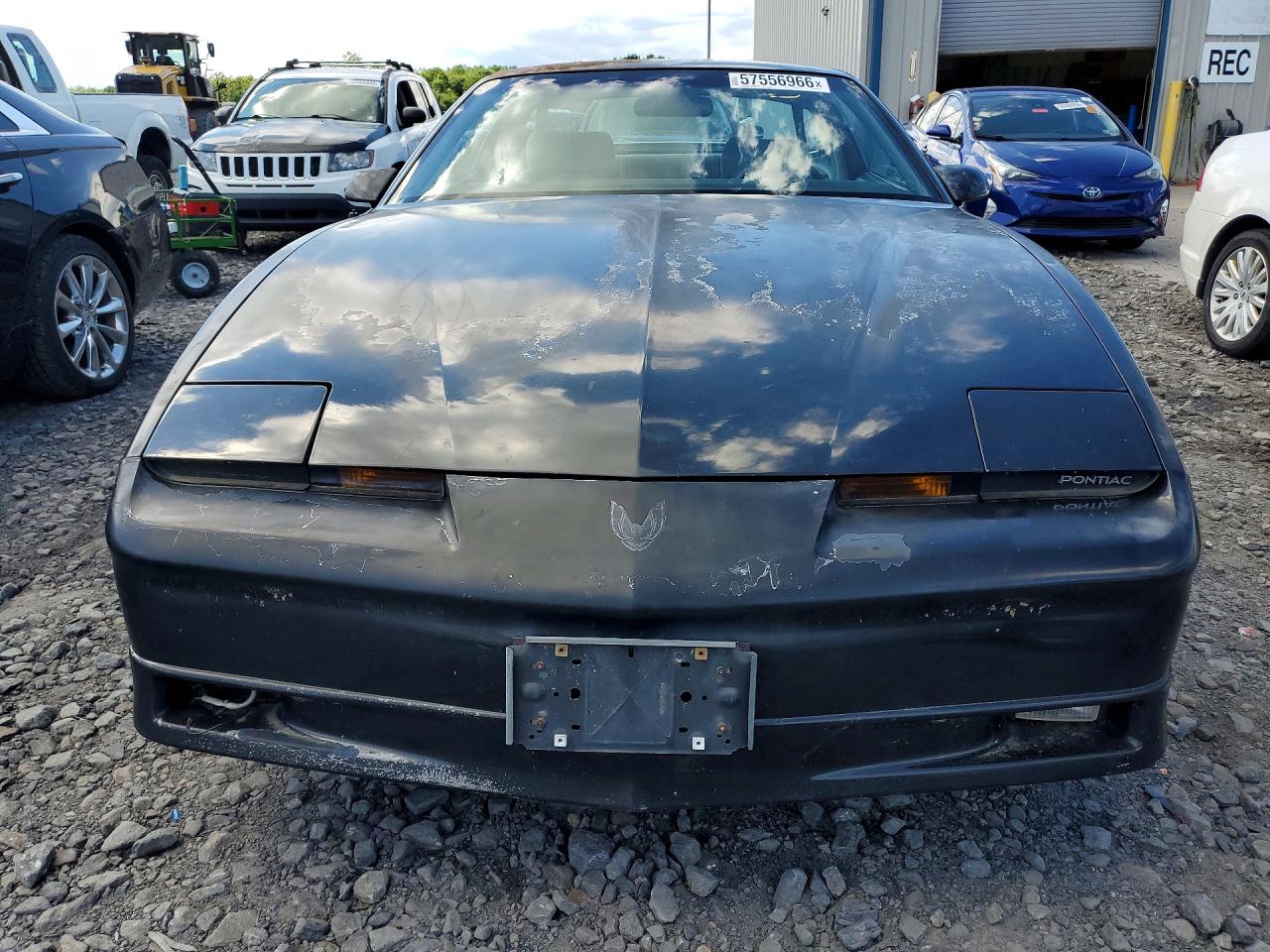 1990 Pontiac Firebird Black vin: 1G2FS23T1LL207221