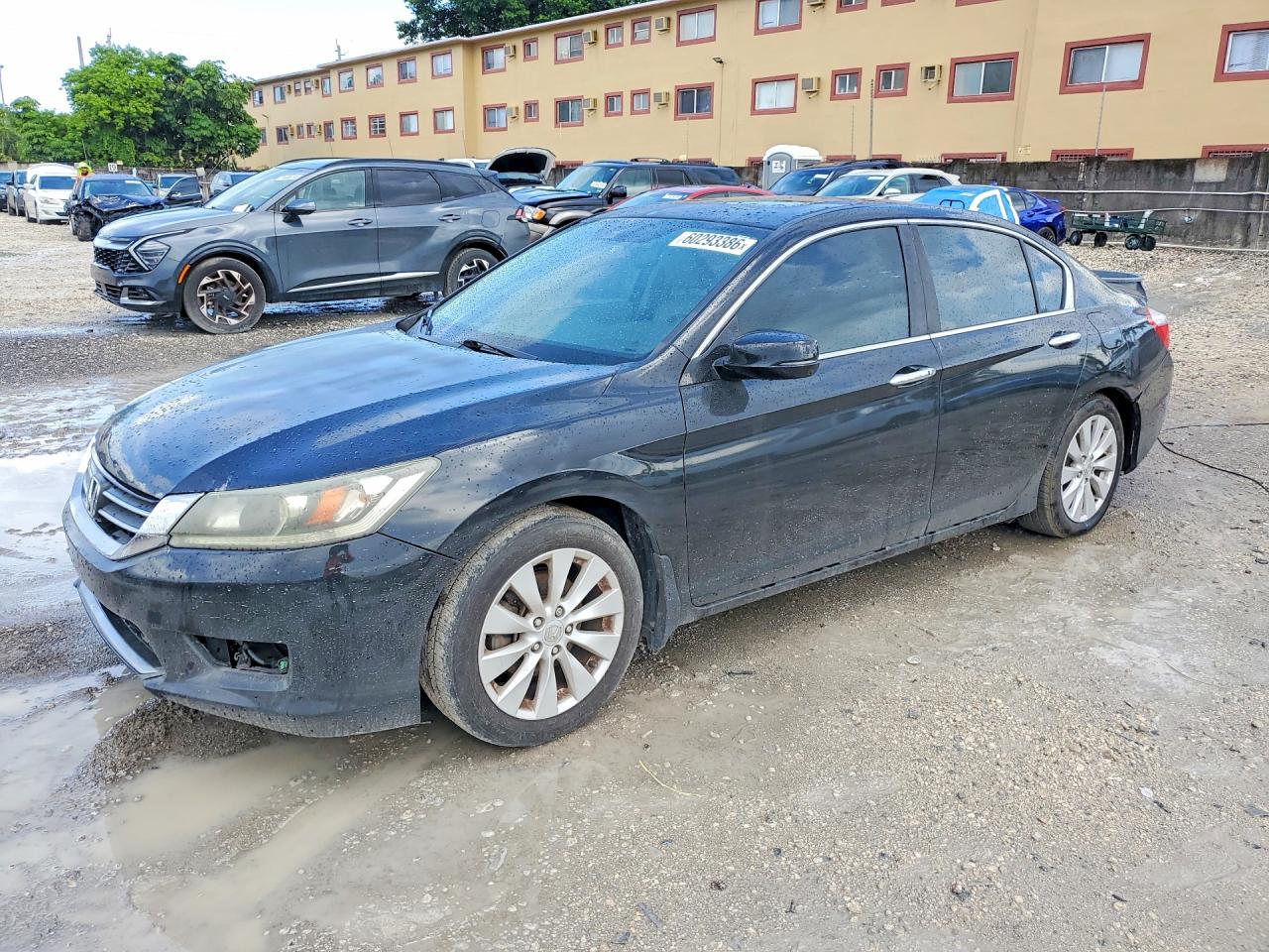 2014 Honda Accord Exl Black vin: 1HGCR2F82EA193654