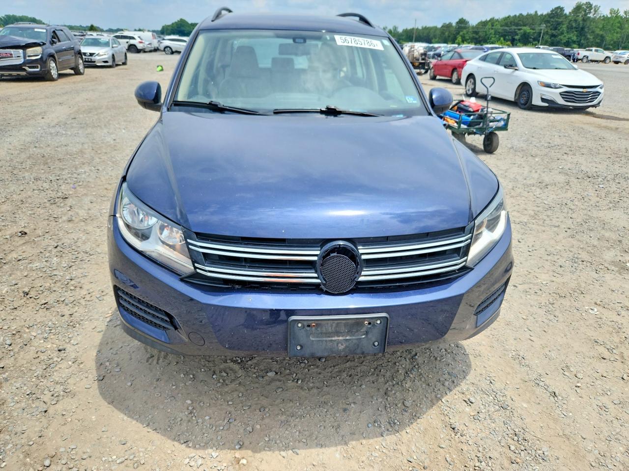 2016 Volkswagen Tiguan S Blue vin: WVGAV7AX3GW600699