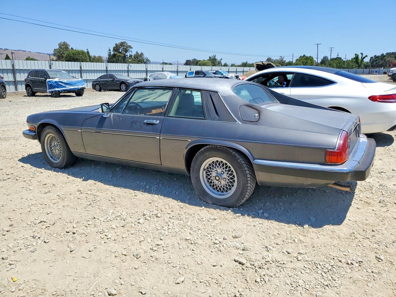 1989 Jaguar Xjs Gray vin: SAJNA5844KC155676