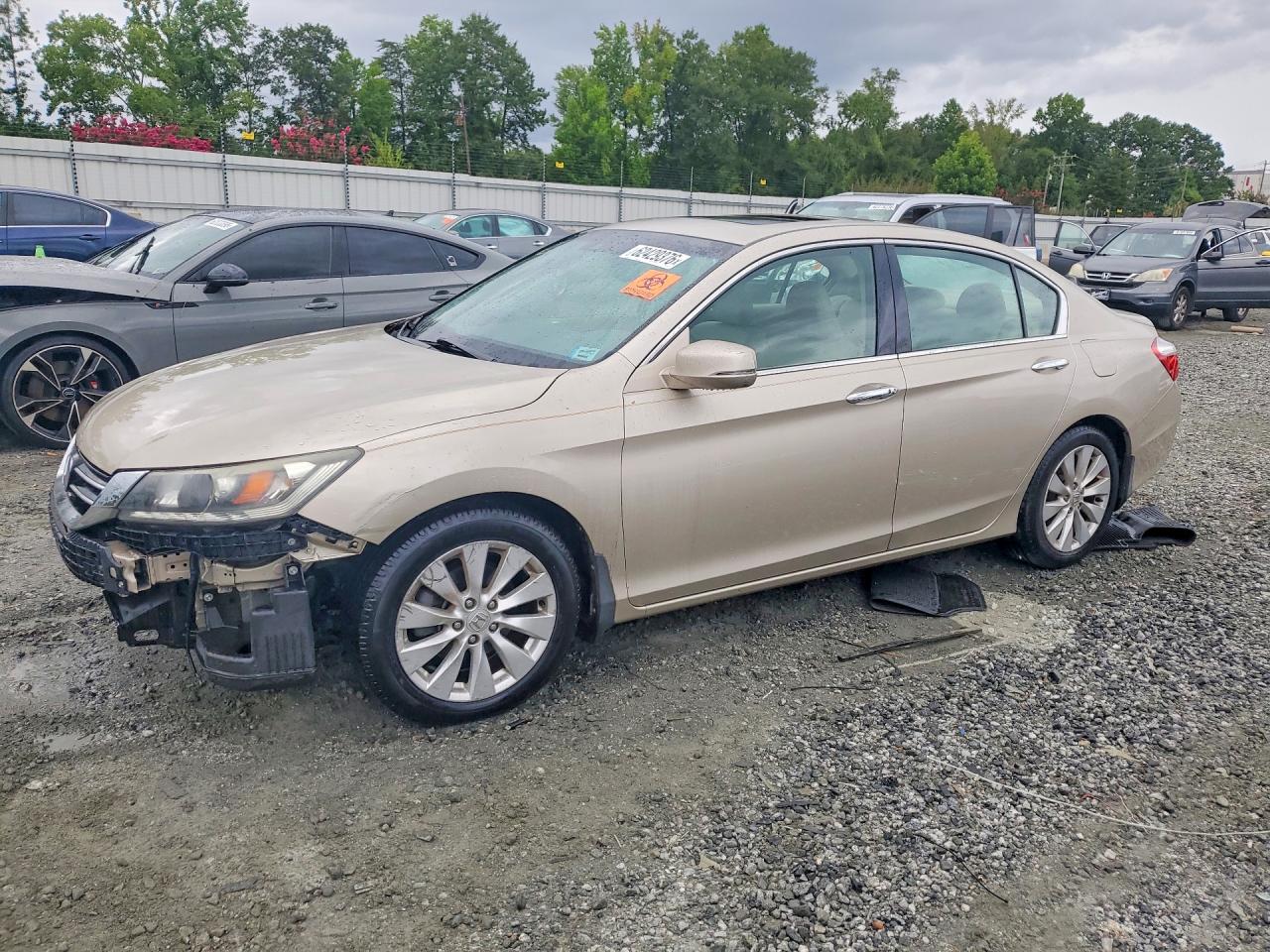 2013 Honda Accord Exl Желто-коричневый vin: 1HGCR3F82DA021547