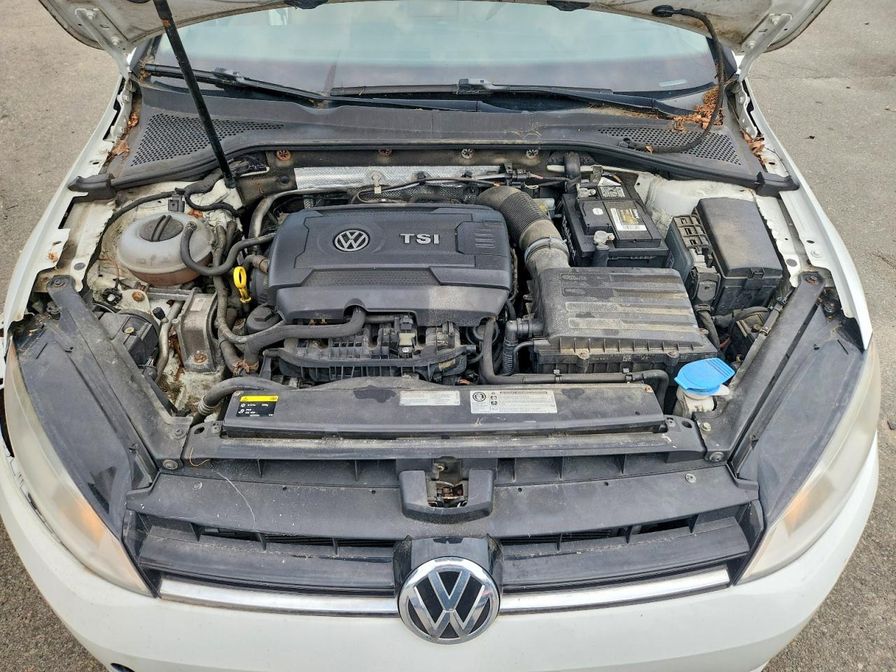 2015 Volkswagen Golf White vin: 3VW217AUXFM008836