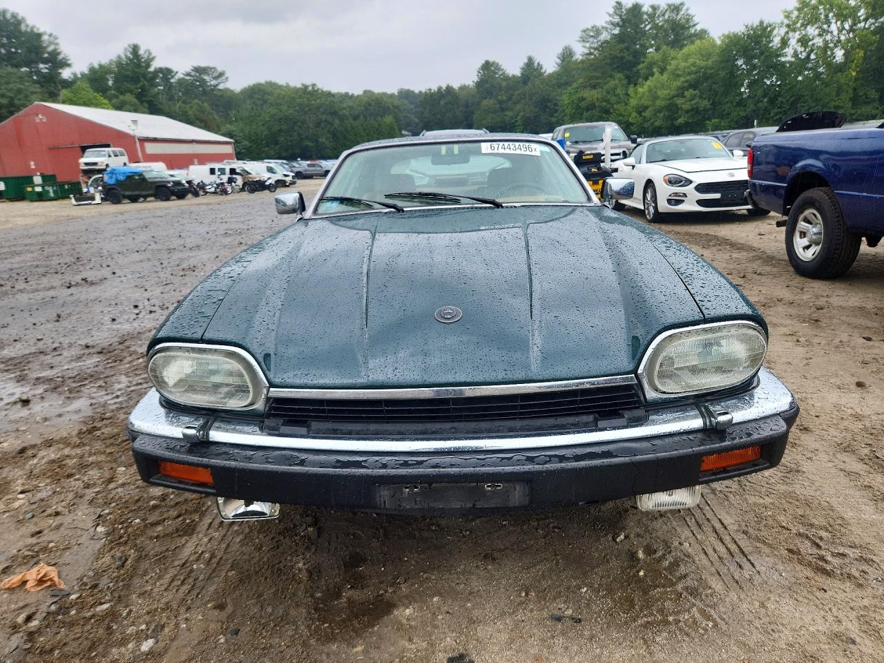 1992 Jaguar Xjs Green vin: SAJNW5841NC180802