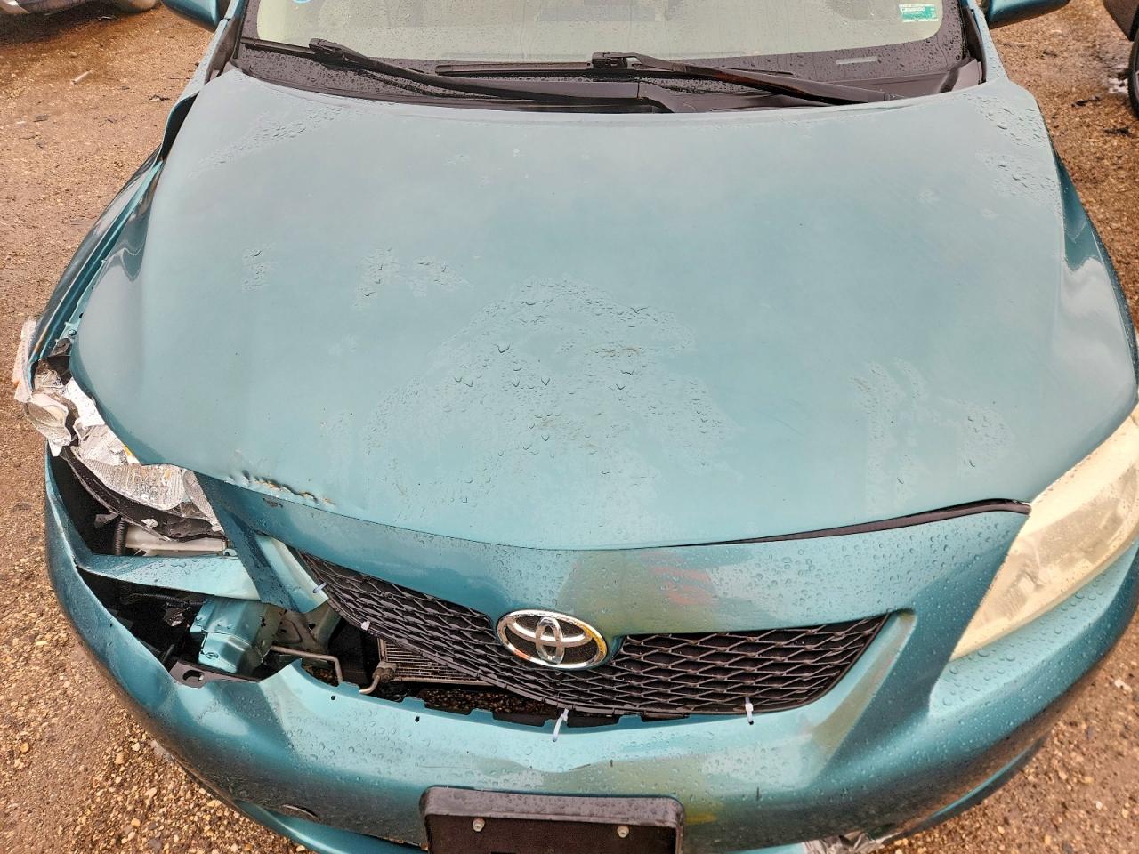2009 Toyota Corolla Le Blue vin: JTDBL40E89J054463