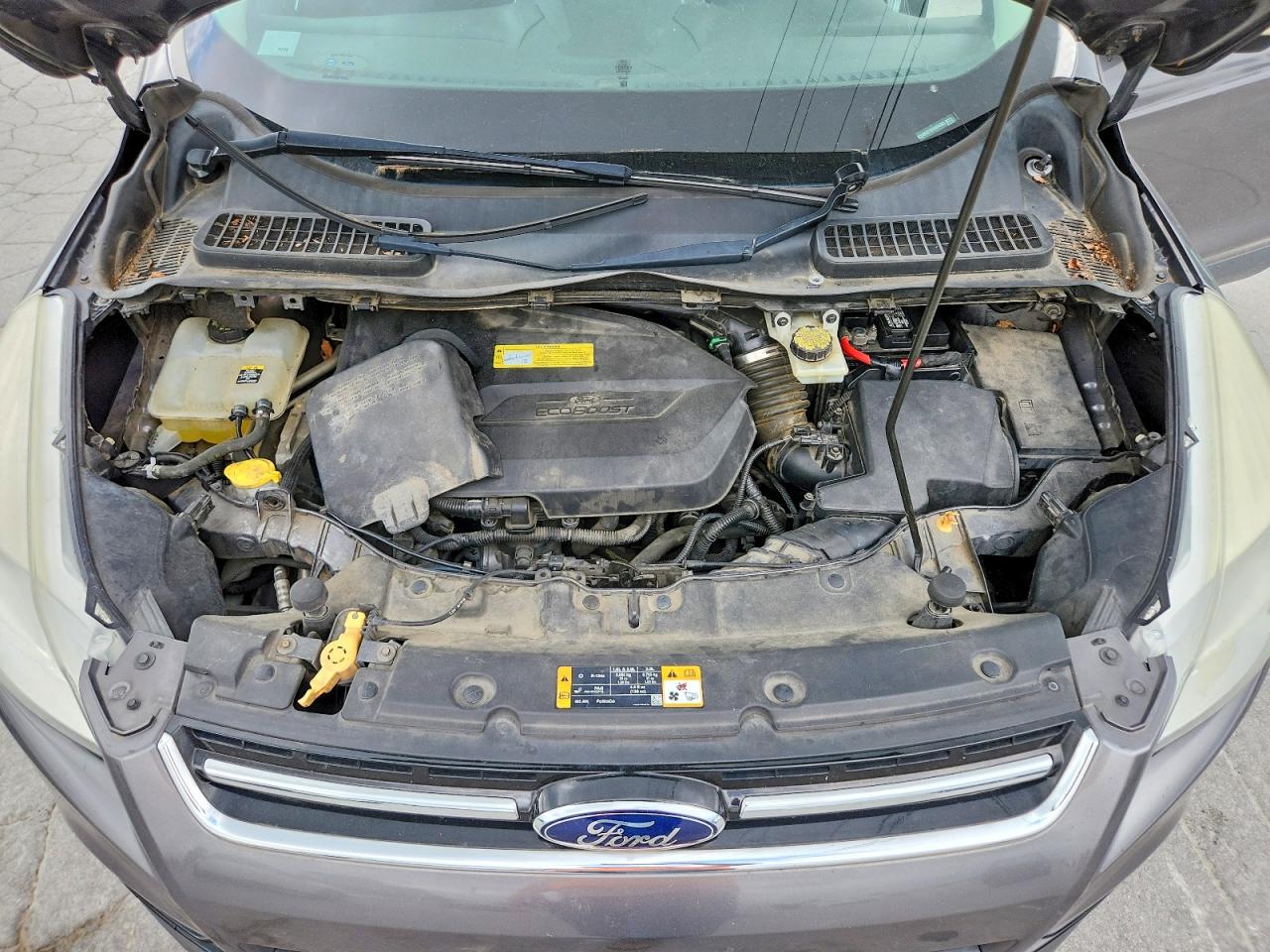 2013 Ford Escape Sel Gray vin: 1FMCU0HX1DUA04555
