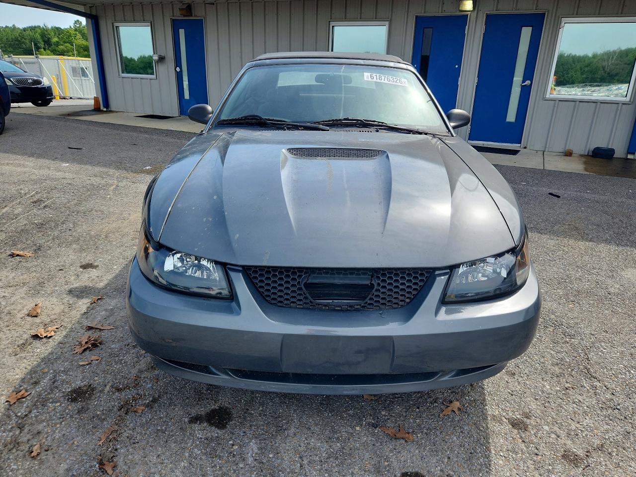 2000 Ford Mustang Gray vin: 1FAFP4444YF281096