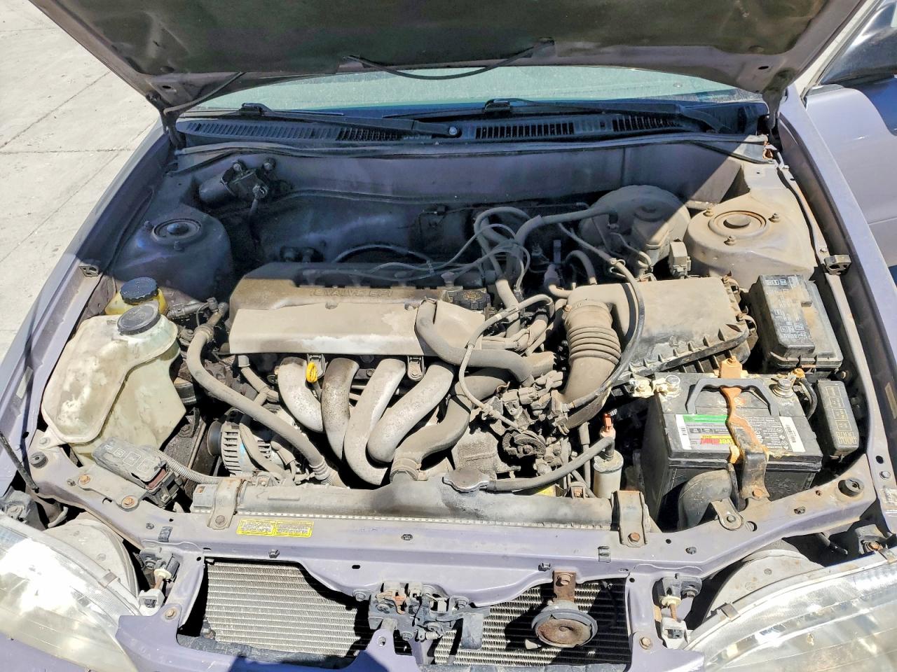 1998 Toyota Corolla Ve Purple vin: 2T1BR12E8WC006575