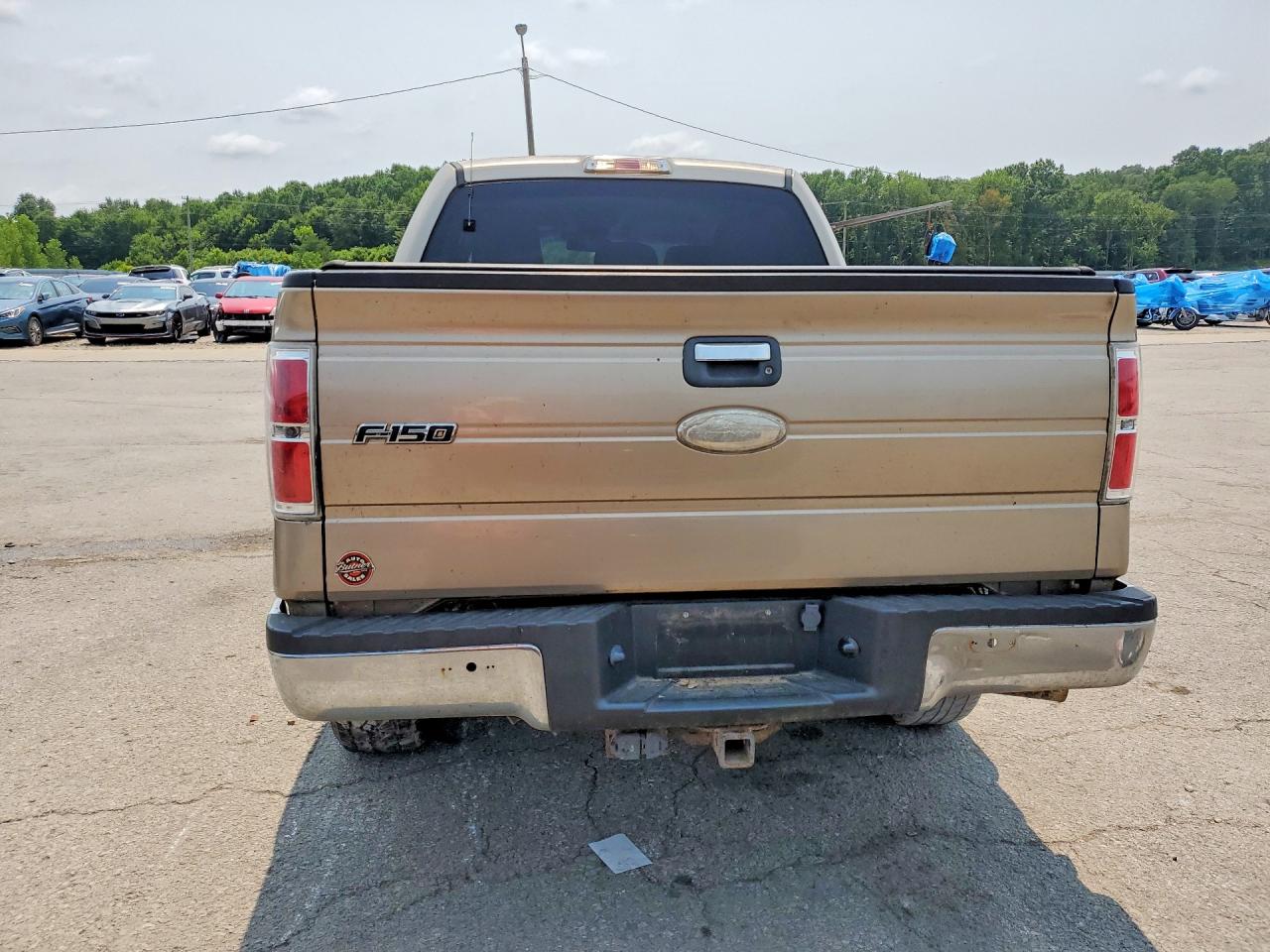 2011 Ford F150 Supercrew Cream vin: 1FTFW1ET8BFD16005