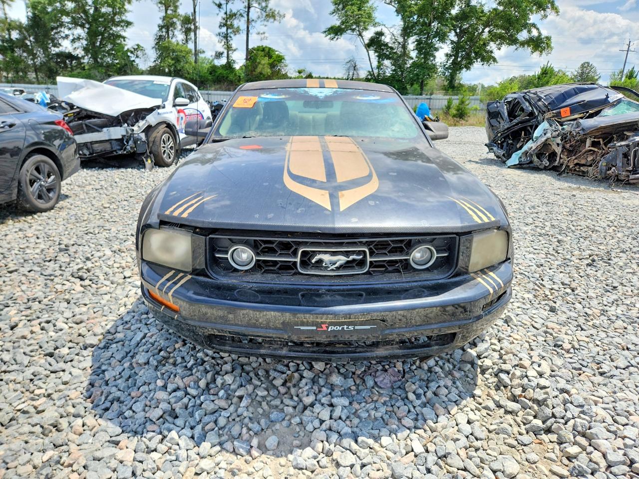 2007 Ford Mustang Black vin: 1ZVFT80N775203750