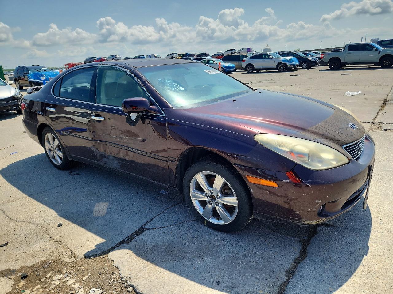 2005 Lexus Es 330 Purple vin: JTHBA30G655115196