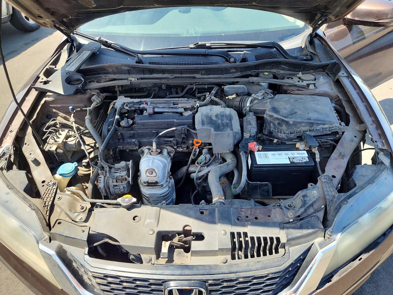 2013 Honda Accord Exl Brown vin: 1HGCT1B83DA007331