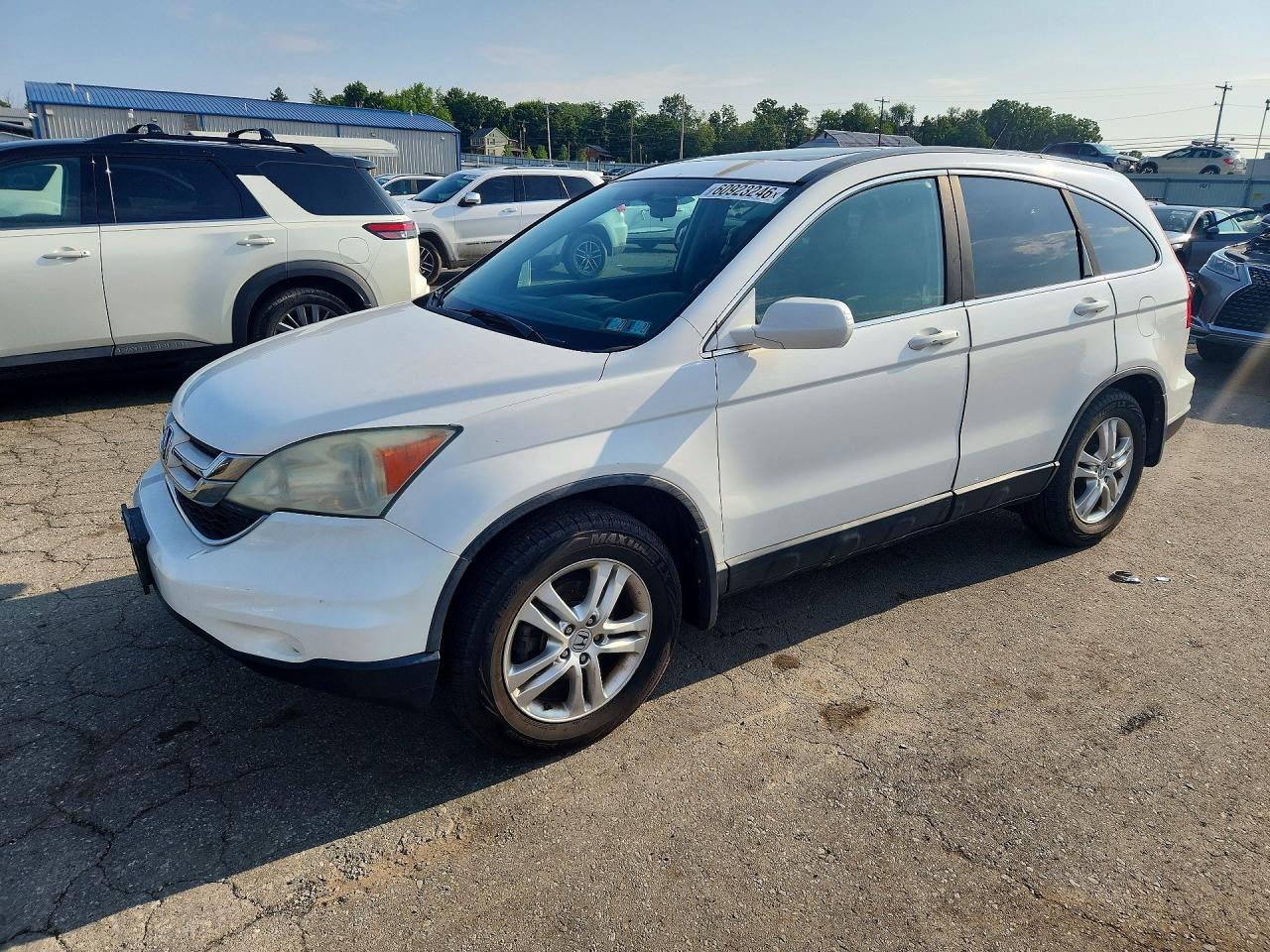 2010 Honda Cr-v Exl White vin: 5J6RE4H73AL038317
