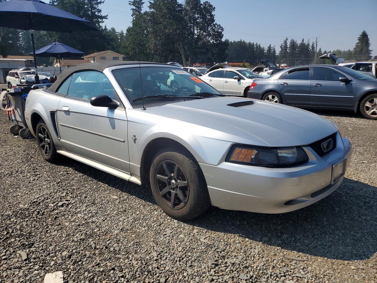 2001 Ford Mustang Silver vin: 1FAFP44491F194784