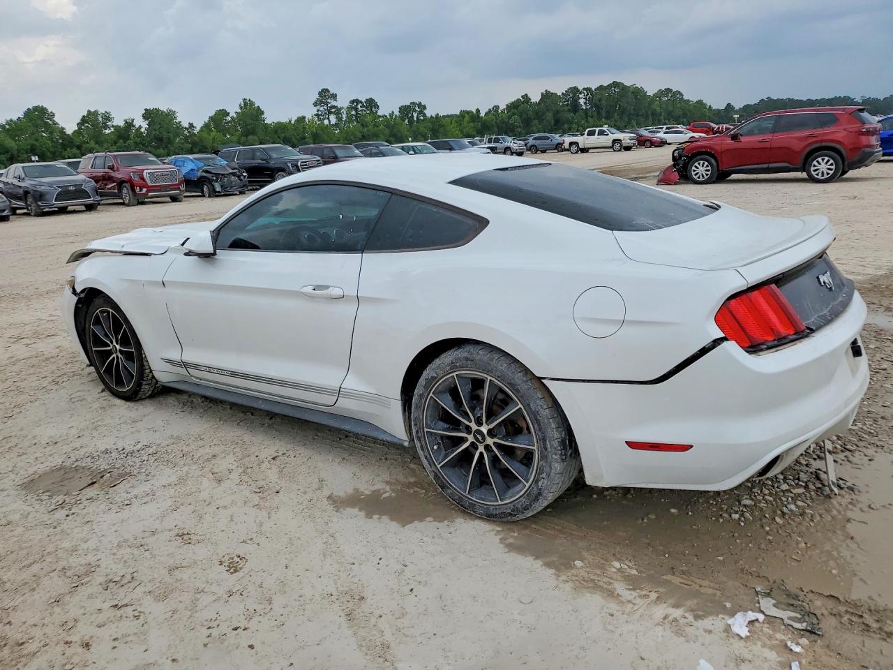 2015 Ford Mustang White vin: 1FA6P8TH8F5329861