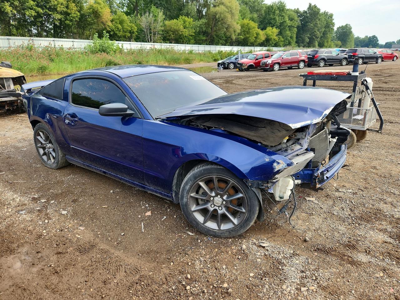 2013 Ford Mustang Blue vin: 1ZVBP8AM1D5266637