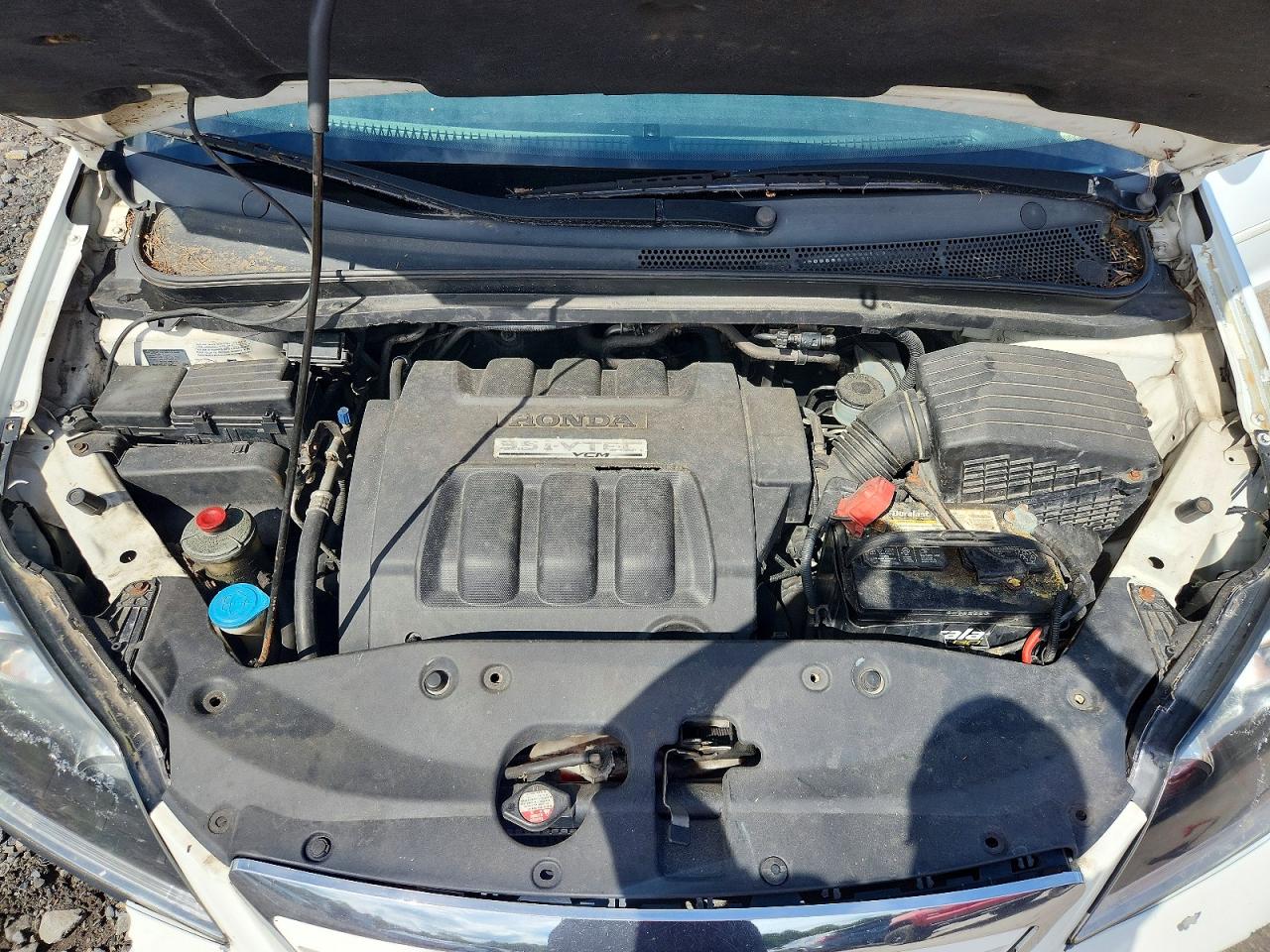 2006 Honda Odyssey Exl White vin: 5FNRL38616B428534
