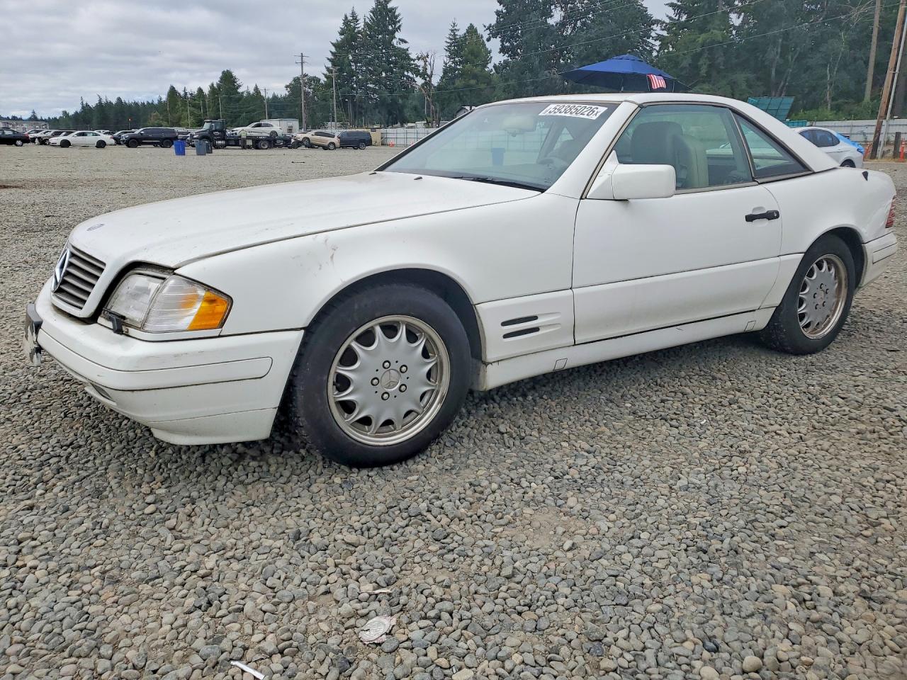1996 Mercedes-benz Sl 320 White vin: WDBFA63F2TF138536