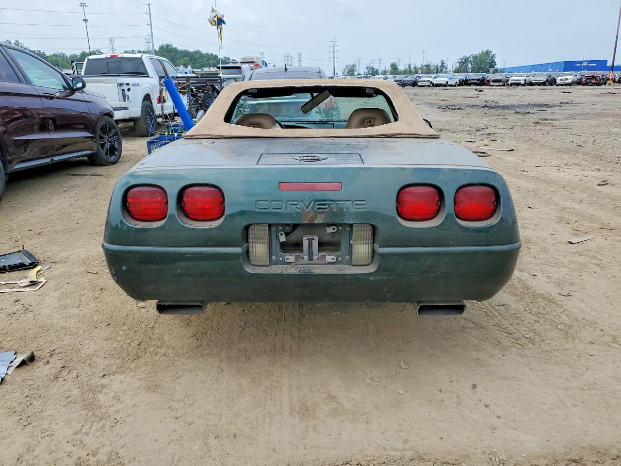 1996 Chevrolet Corvette Зеленый vin: 1G1YY32P1T5110630