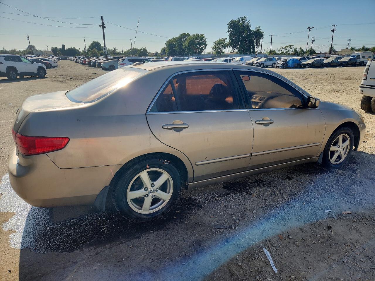 2005 Honda Accord Ex Tan vin: JHMCM56895C006850