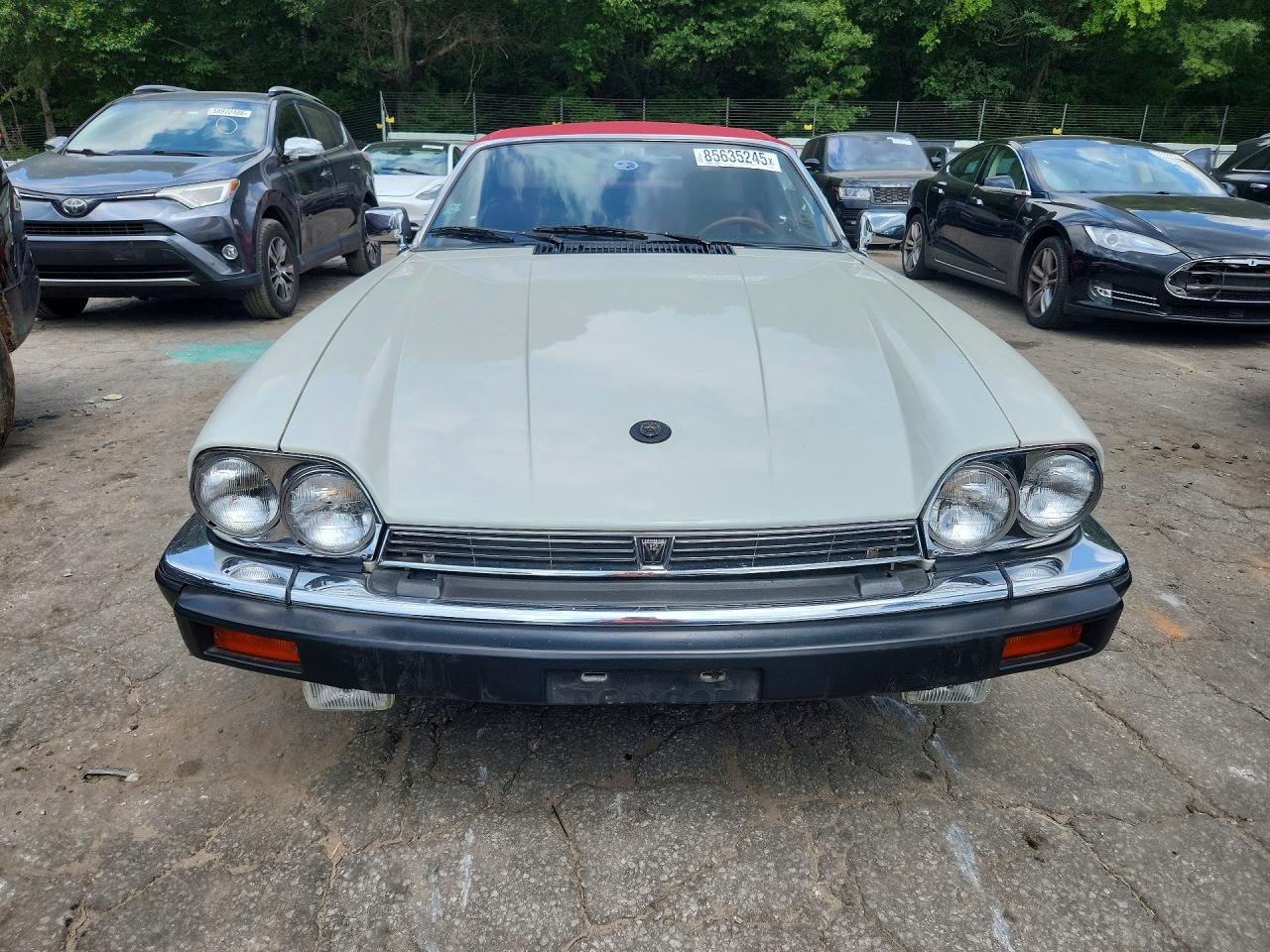 1989 Jaguar Xjs Белый vin: SAJNV4840KC162400