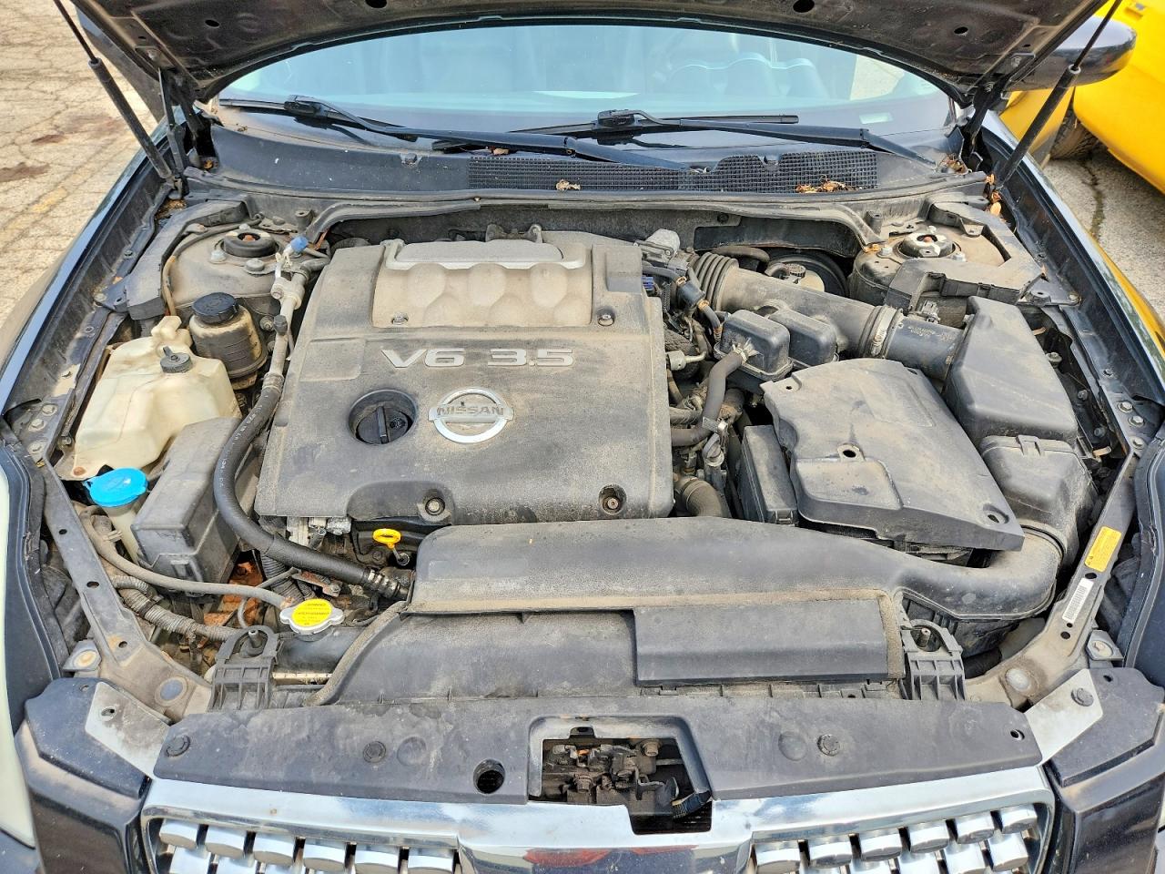 2004 Nissan Maxima 3.5 Se Black vin: 1N4BA41E24C890454