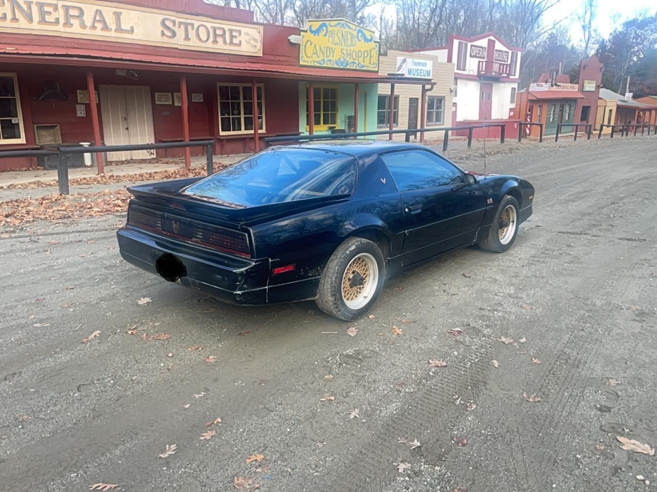 1988 Pontiac Firebird Trans Am Black vin: 1G2FW218XJL246566