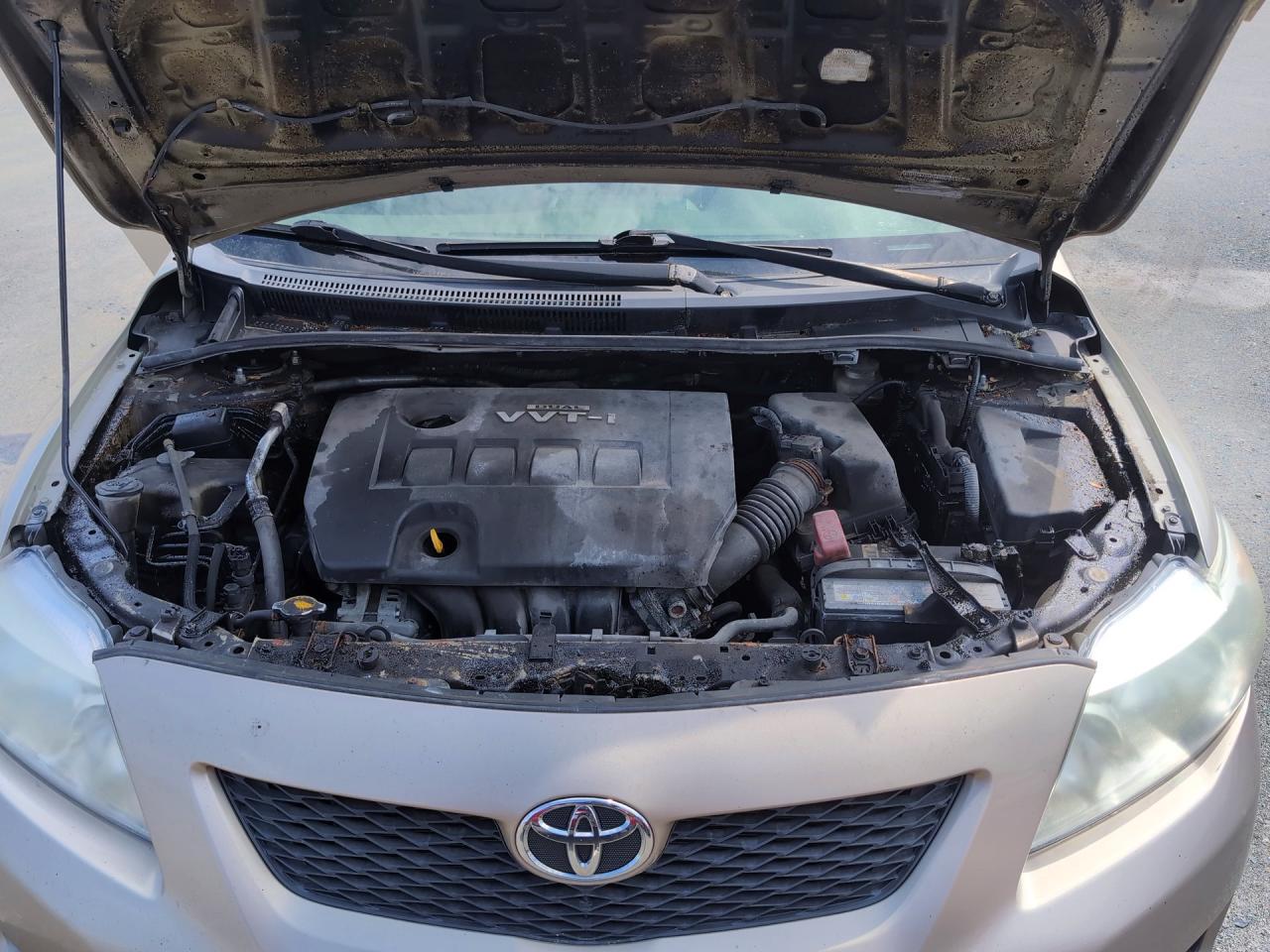 2010 Toyota Corolla Base Gold vin: 2T1BU4EE5AC210075