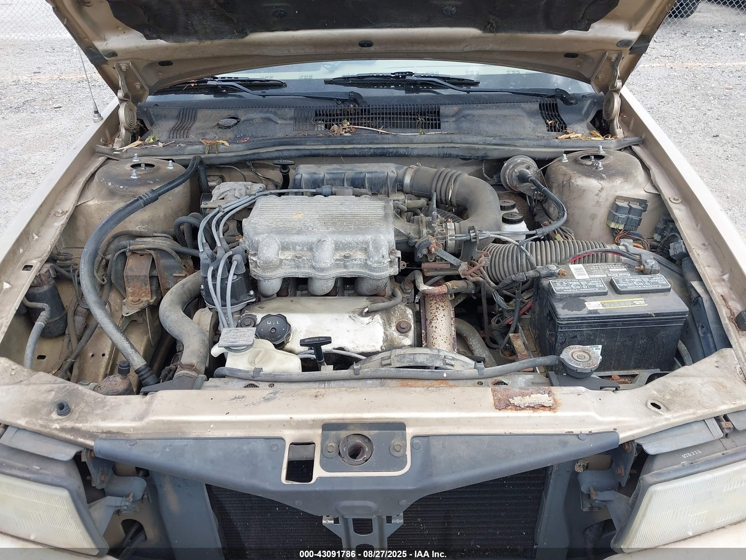1992 Dodge Spirit   Gold vin: 3B3XA4637NT215679