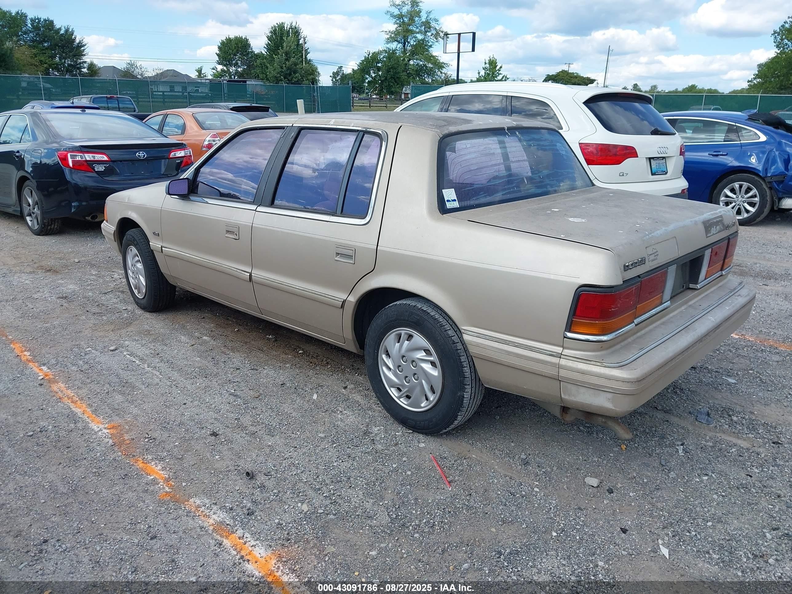 1992 Dodge Spirit   Gold vin: 3B3XA4637NT215679