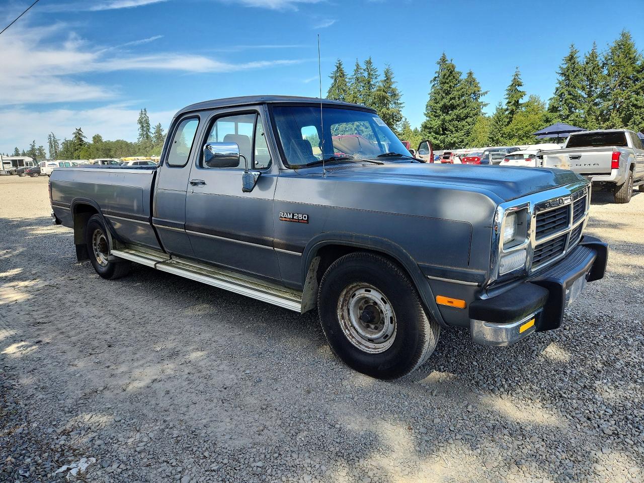 1993 Dodge D-series D200 Gray vin: 3B7KE23C8PM153745