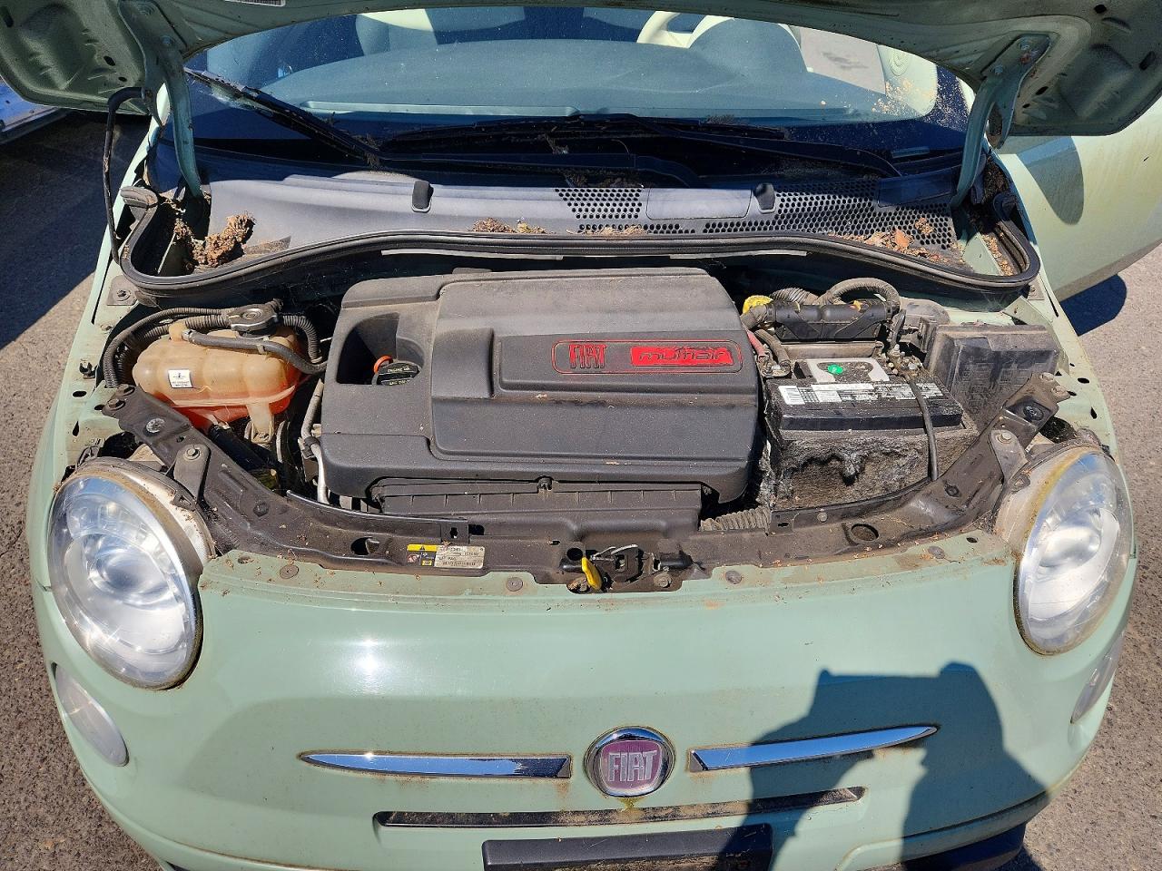 2013 Fiat 500 Green vin: 3C3CFFAR9DT512977