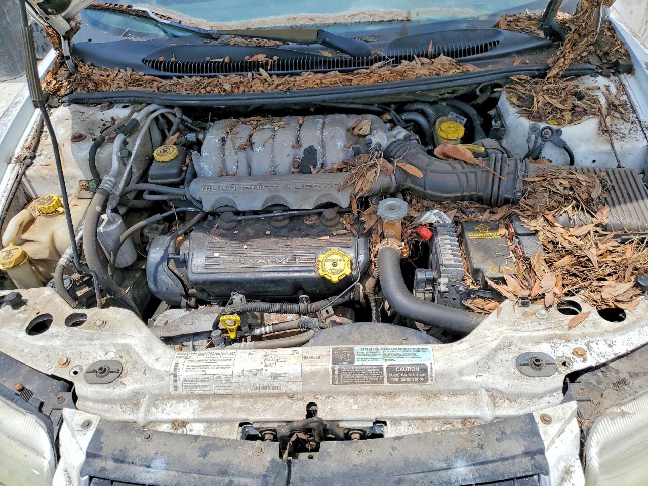 2000 Chrysler Sebring Jx Белый vin: 3C3EL45H4YT231196