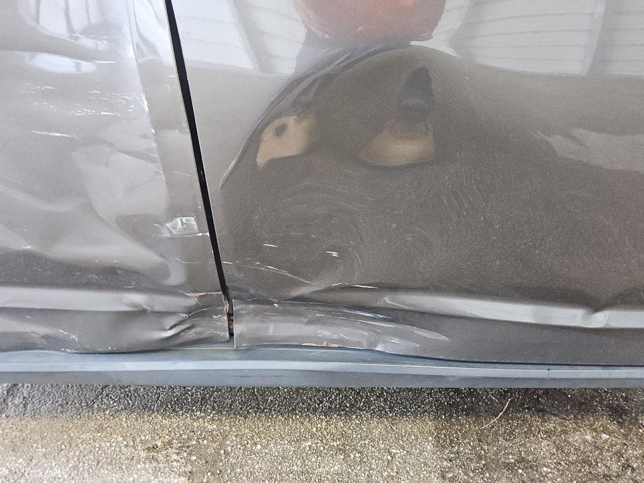 2019 Dodge Journey Se Gray vin: 3C4PDCBB5KT862073 Damage: Right Front Door, Broken, Replacement Required