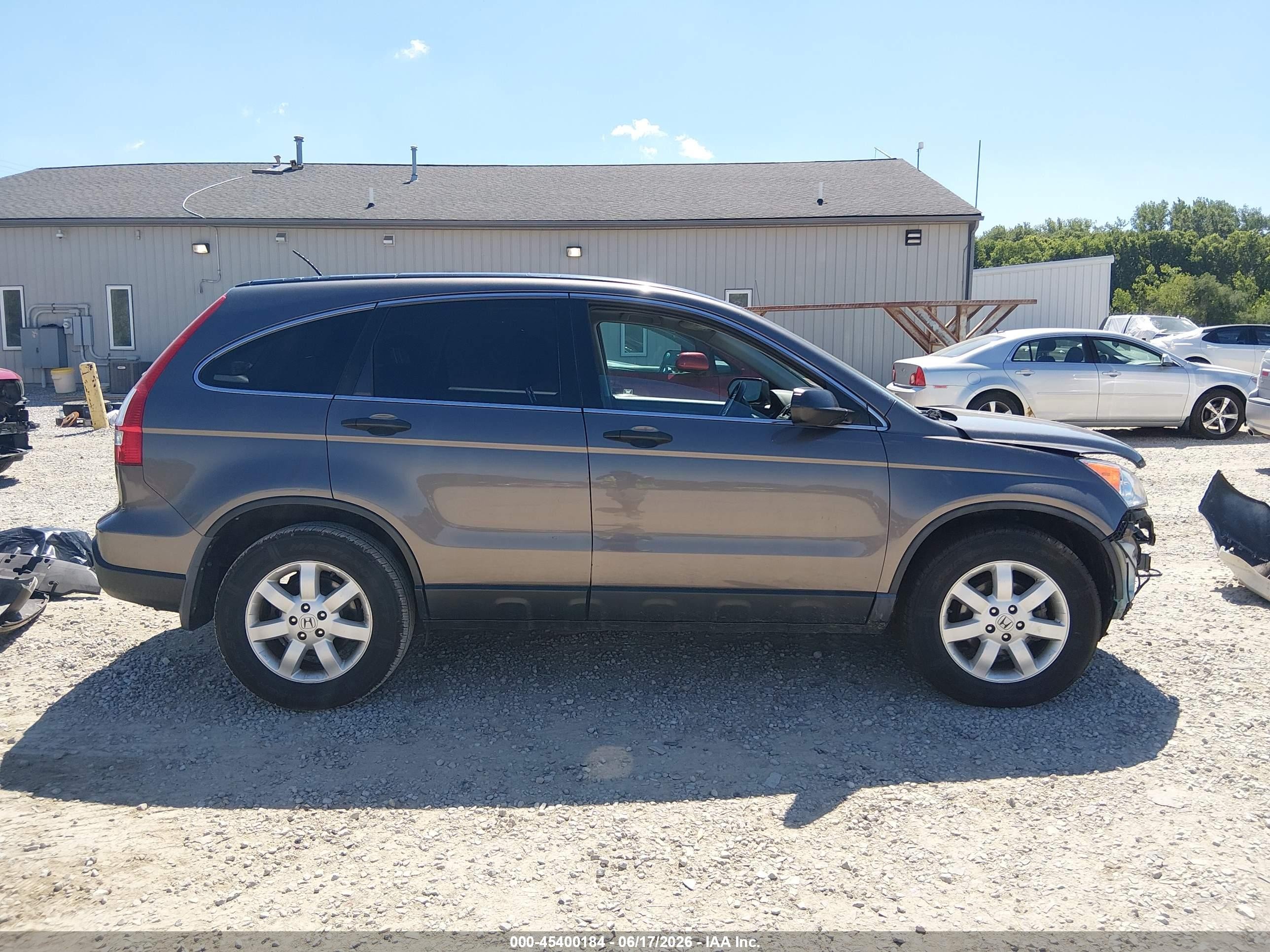 2009 Honda Cr-v Ex Gray vin: 3CZRE485X9G703379