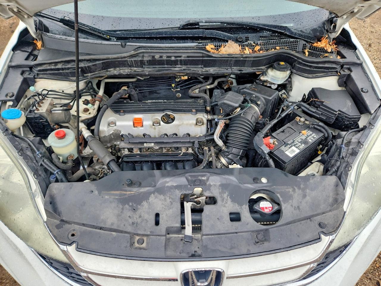 2010 Honda Cr-v Ex White vin: 3CZRE4H52AG704577