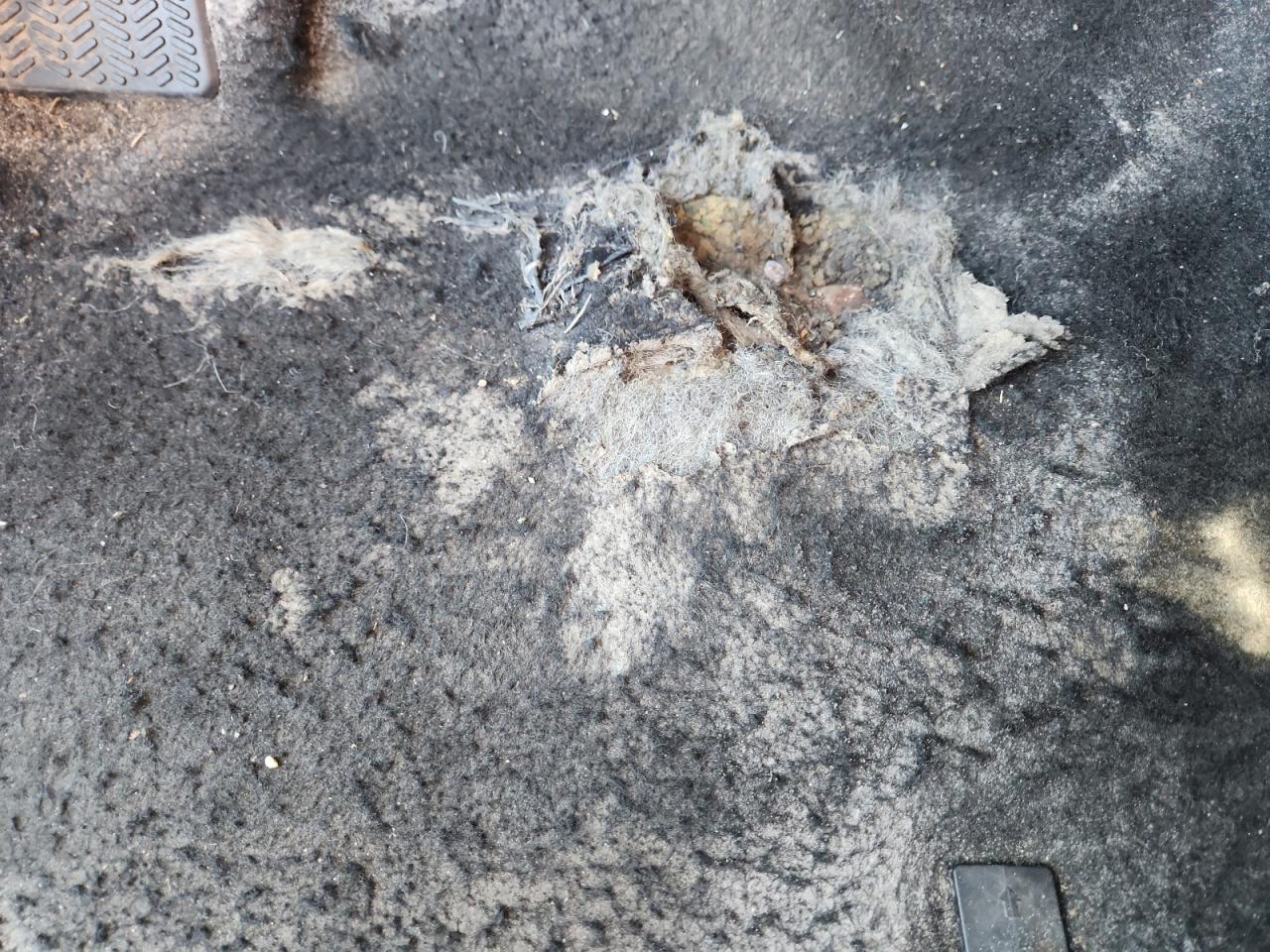 2021 Honda Hr-v Exl White vin: 3CZRU5H73MM722179 Damage: Left Front Carpet, Torn, 4 To 5 Inches
