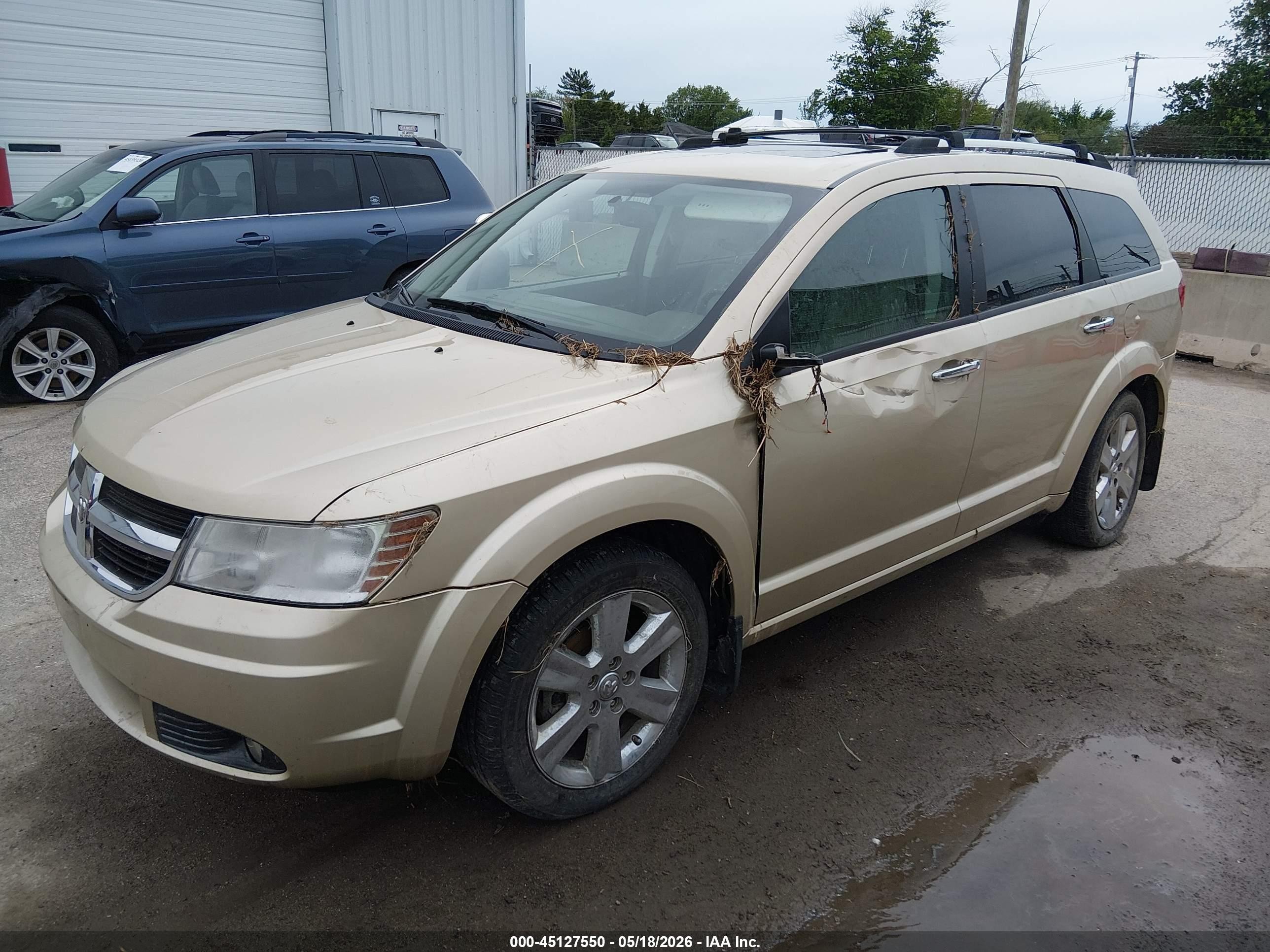 2010 Dodge Journey R/t Beige vin: 3D4PH6FV5AT109543