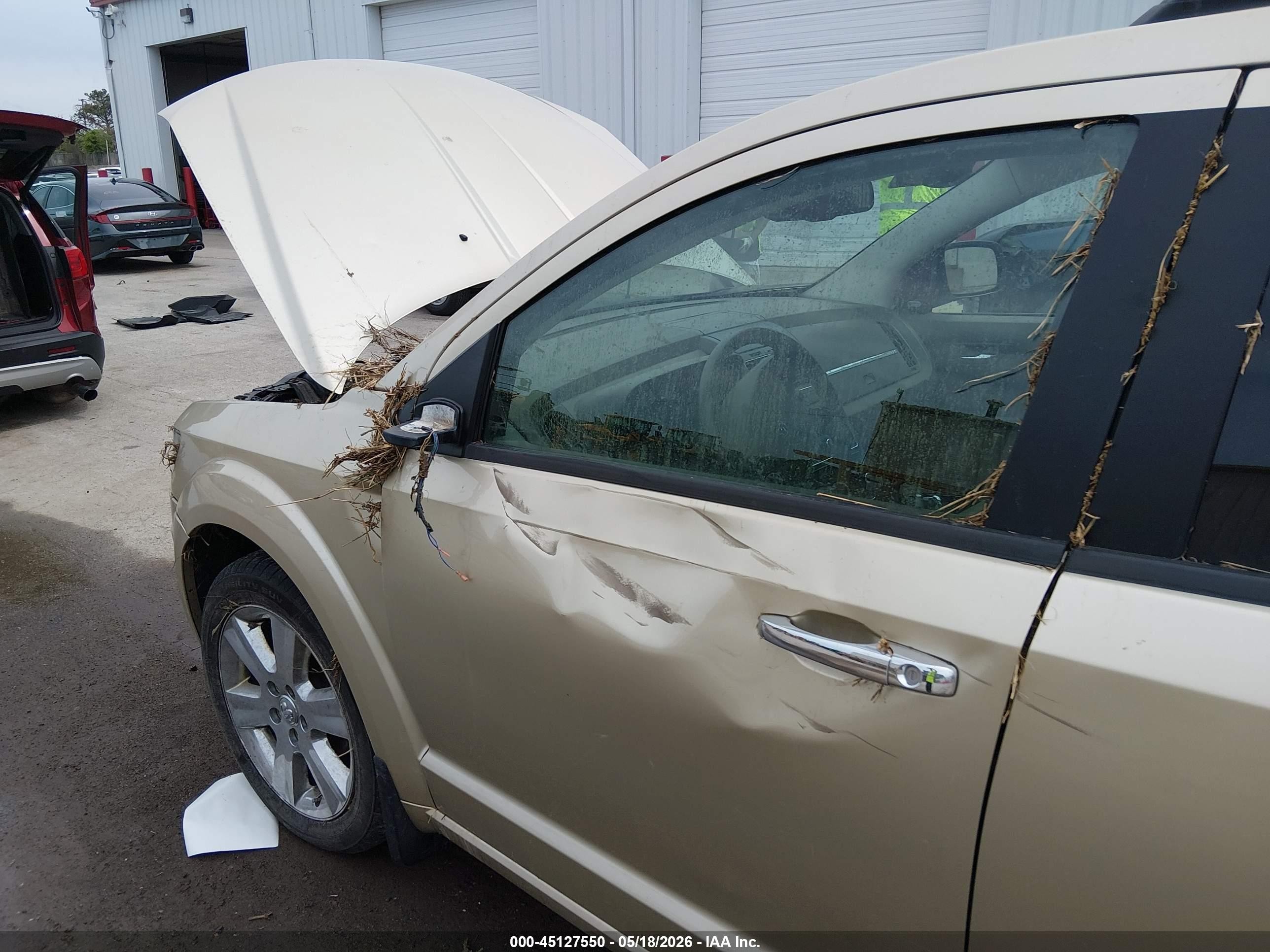2010 Dodge Journey R/t Beige vin: 3D4PH6FV5AT109543
