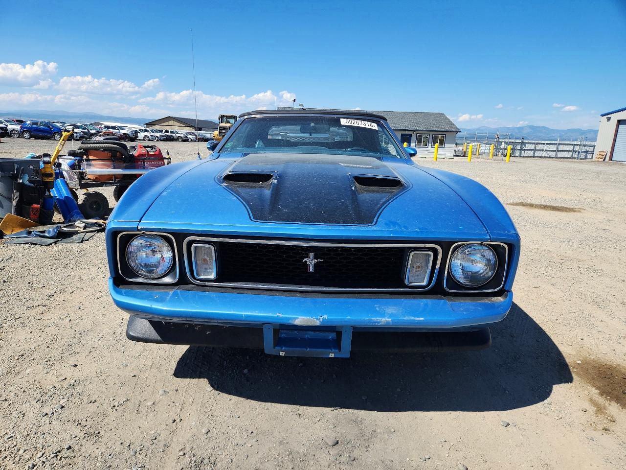 1973 Ford Mustang Blue vin: 3F03H219190