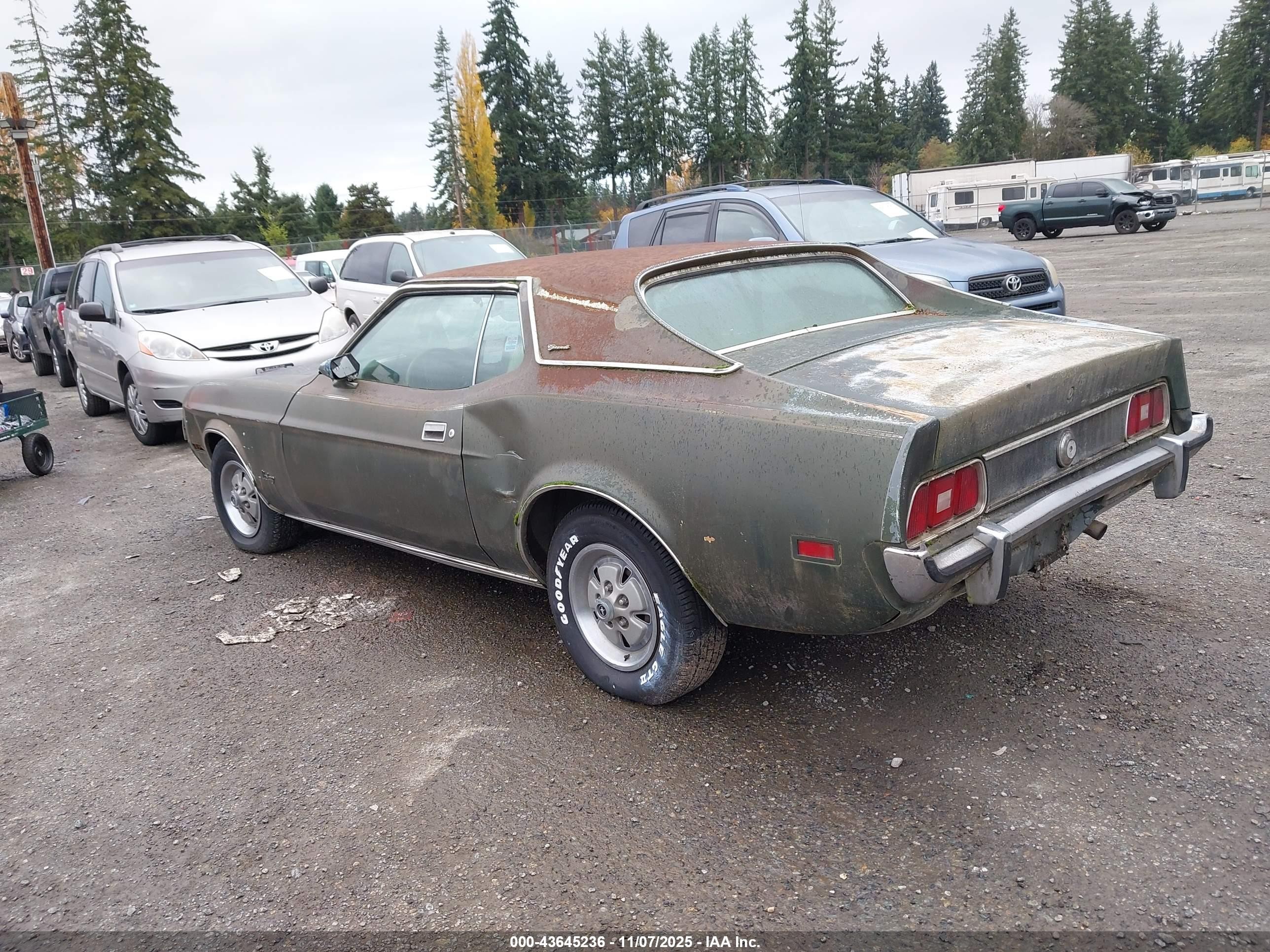 1973 Ford Mustang   Зеленый vin: 3F04H261310      