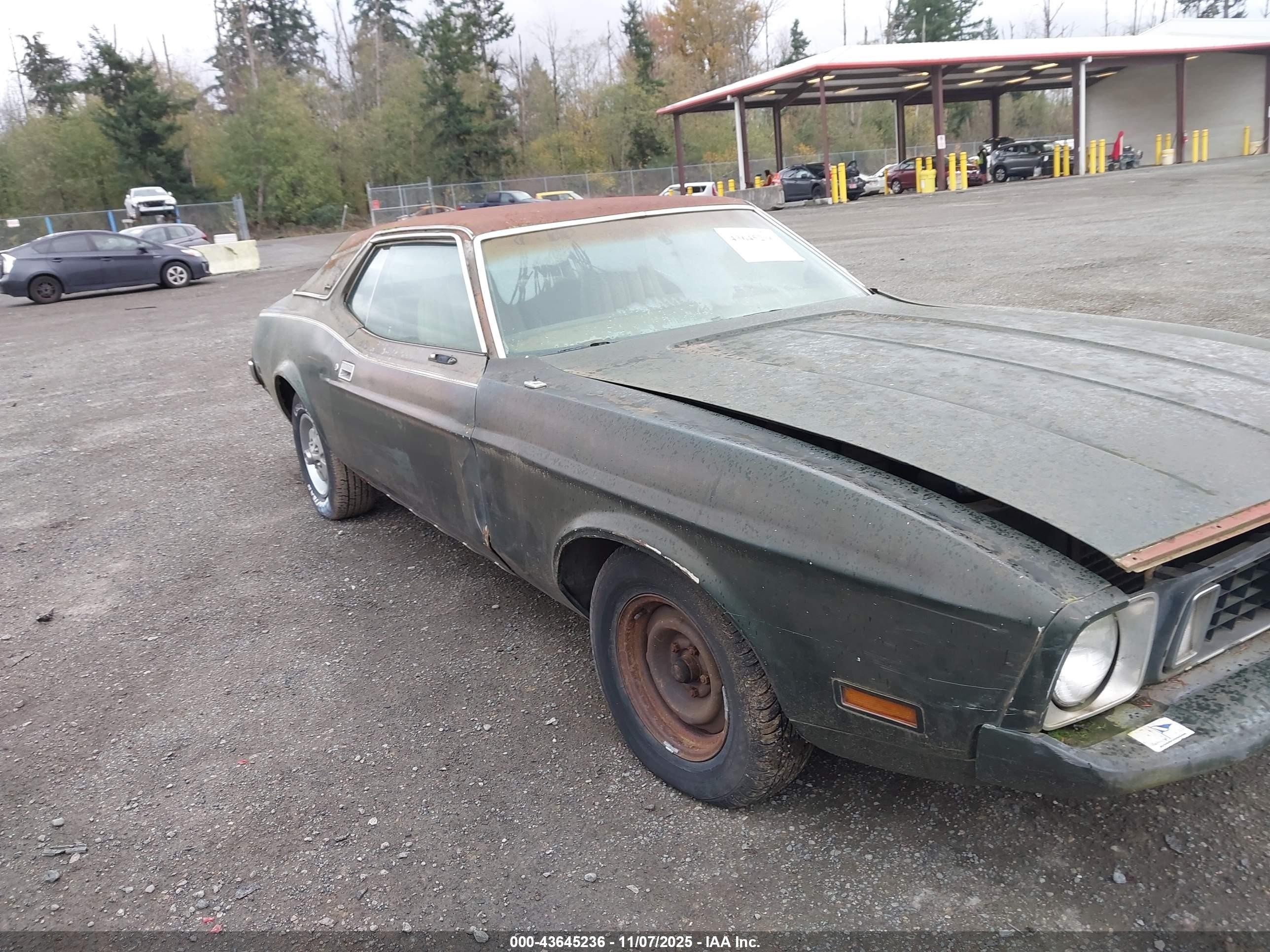 1973 Ford Mustang   Зеленый vin: 3F04H261310      