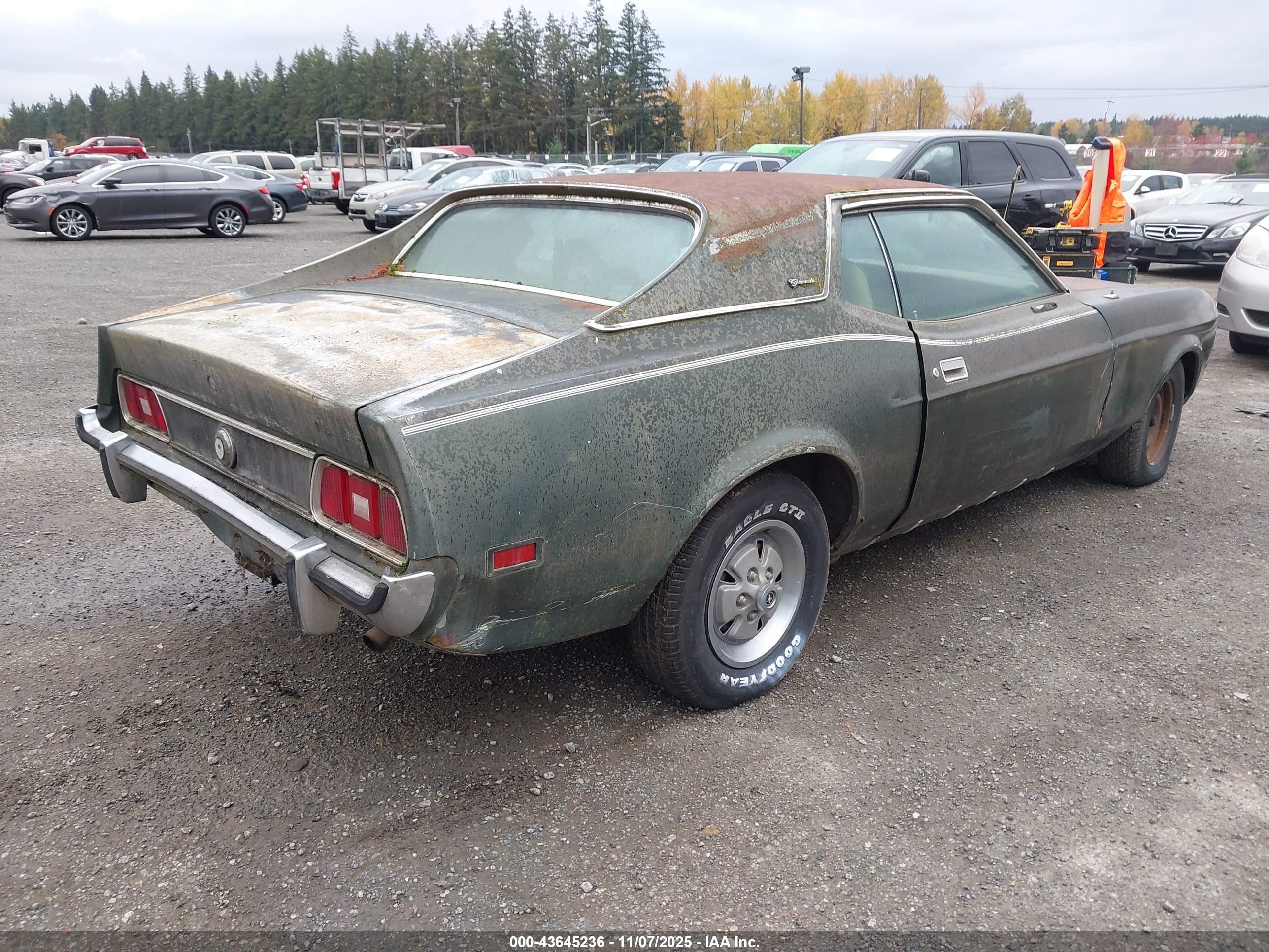 1973 Ford Mustang   Зеленый vin: 3F04H261310      